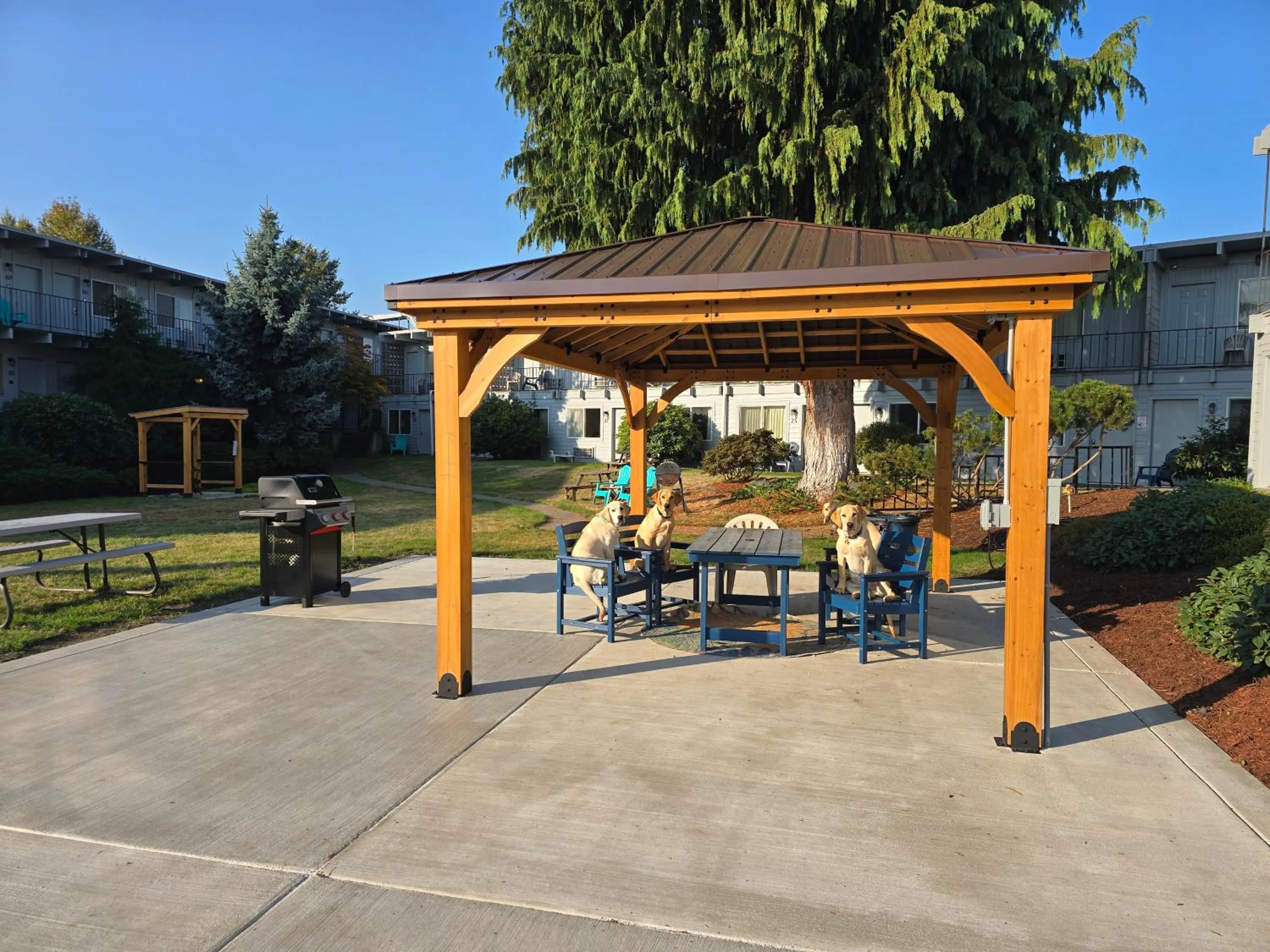 pet friendly in Cocusa Motel