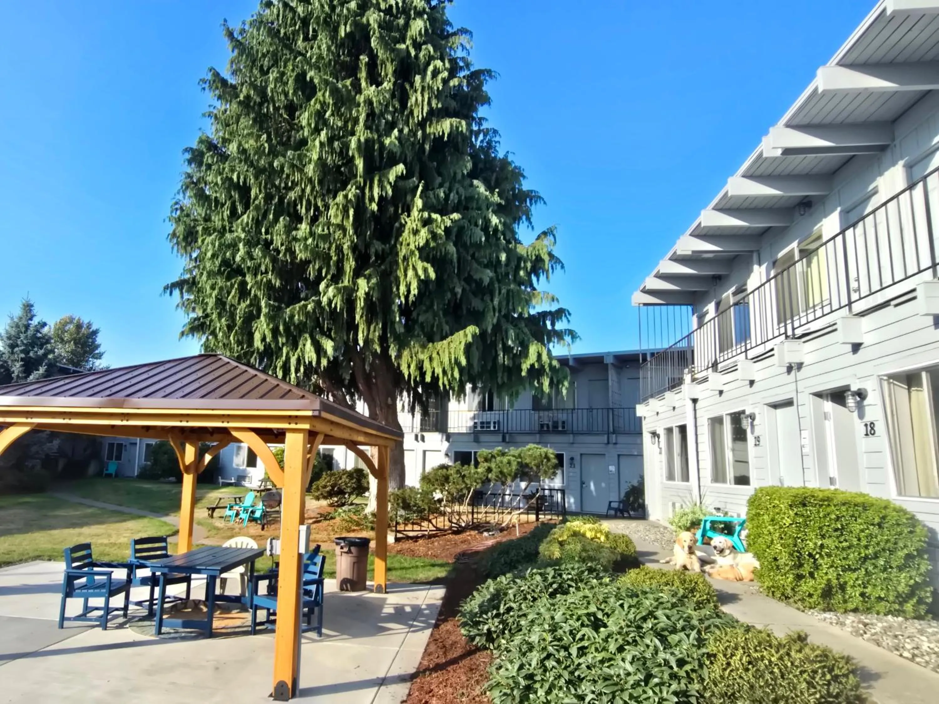 pet friendly in Cocusa Motel