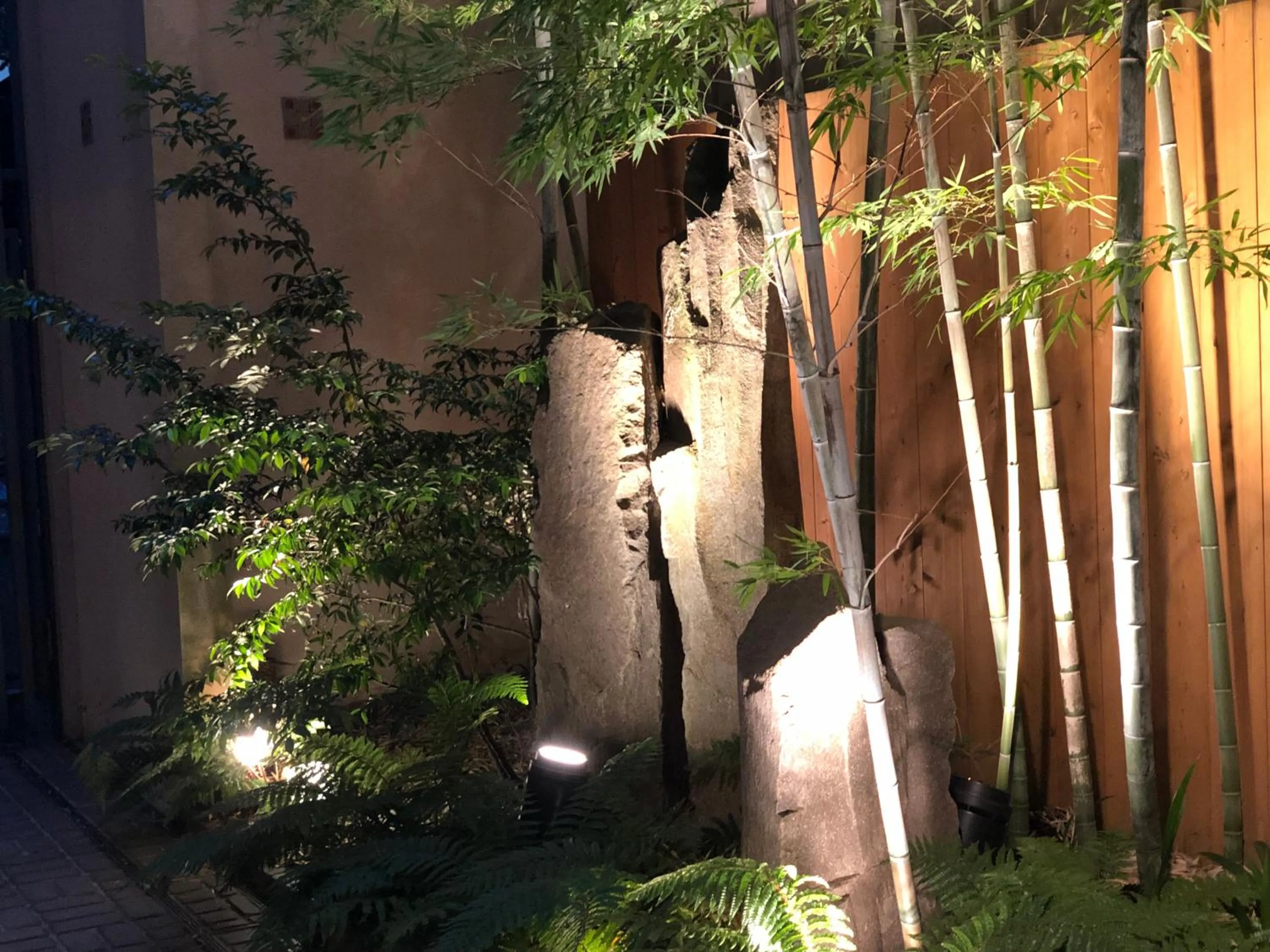 Patio in Hotel Patio Dogo