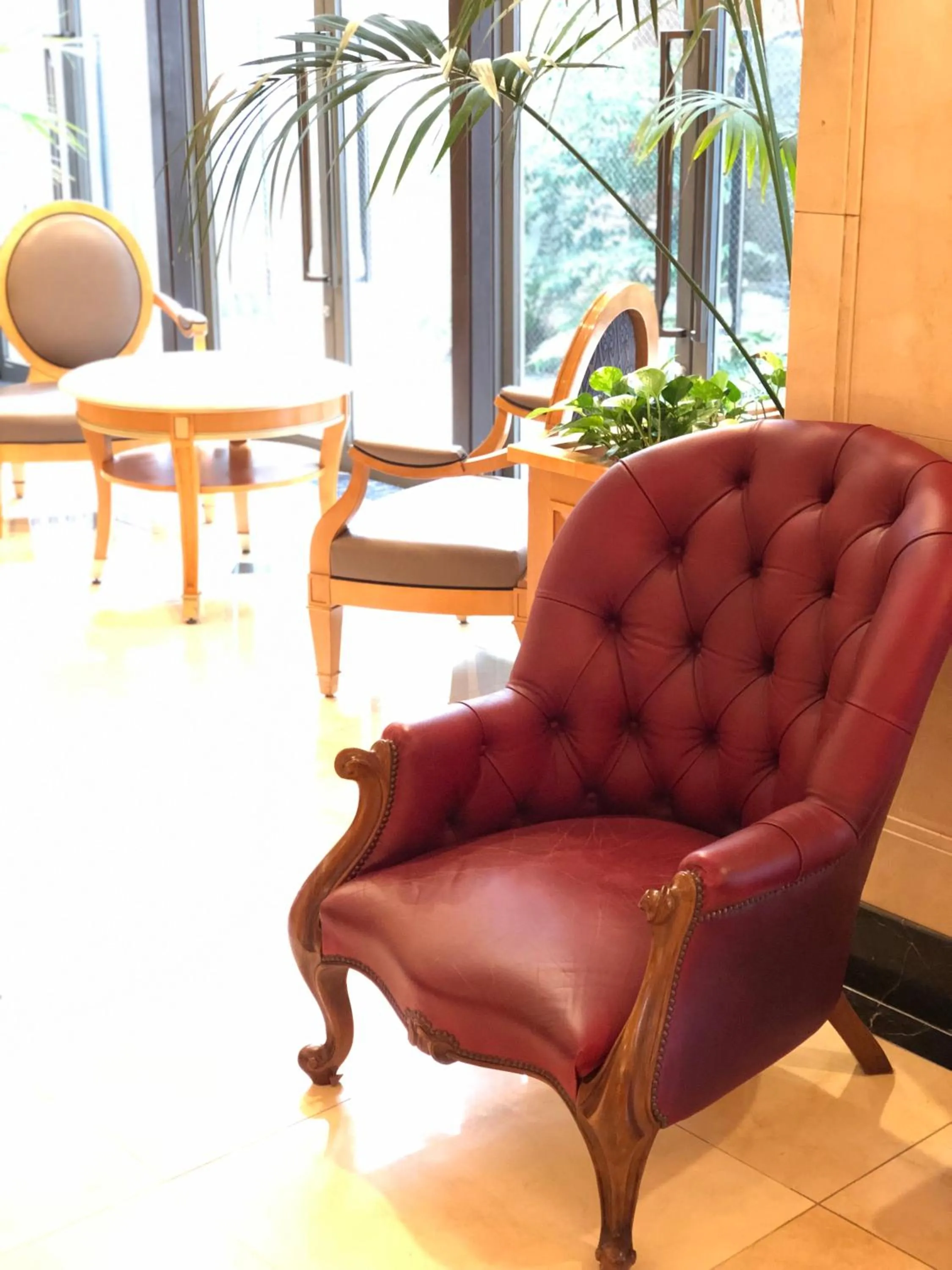 Lobby or reception in Hotel Patio Dogo