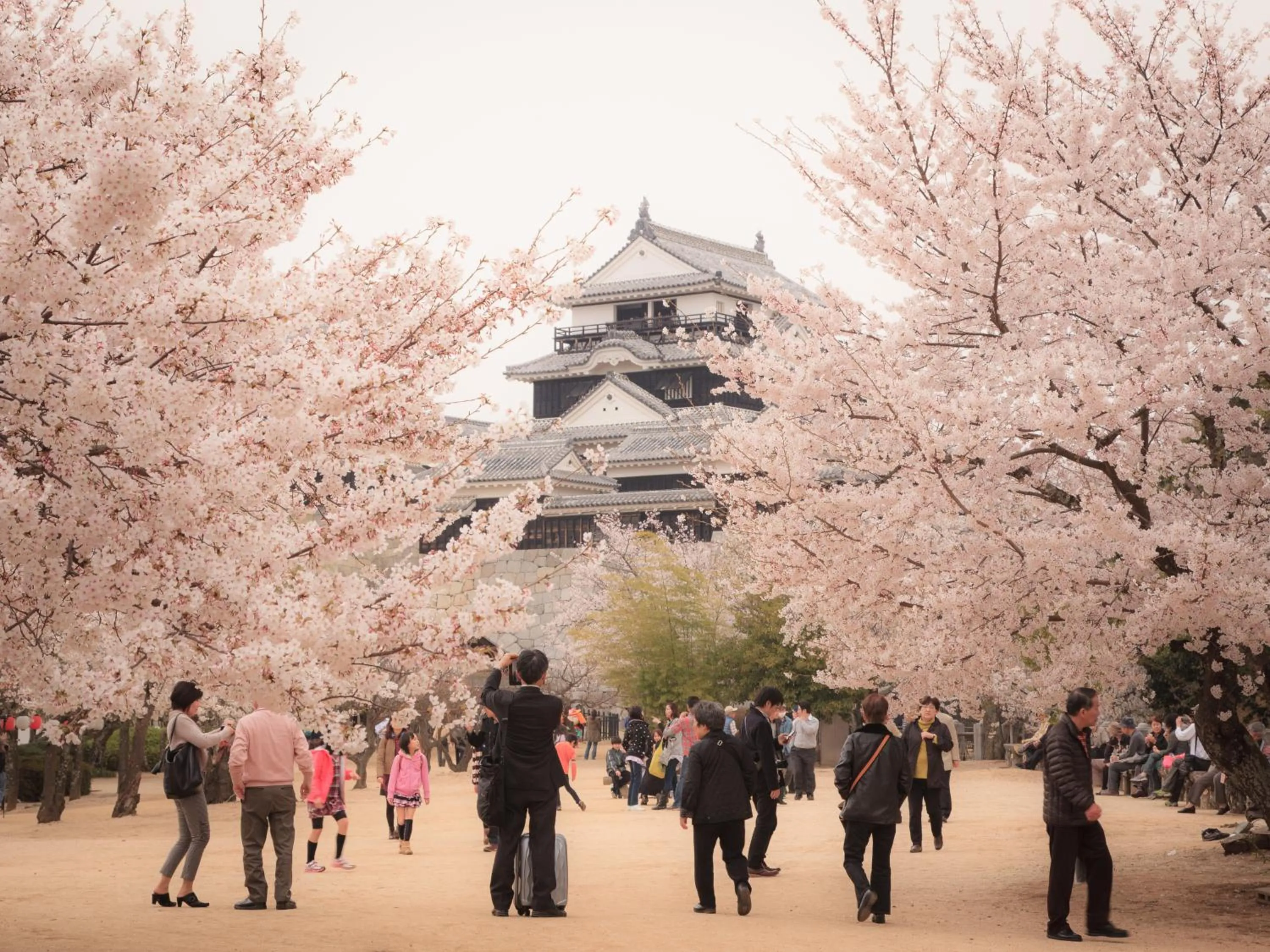 Nearby landmark in 天然温泉 松山ニューグランドホテル