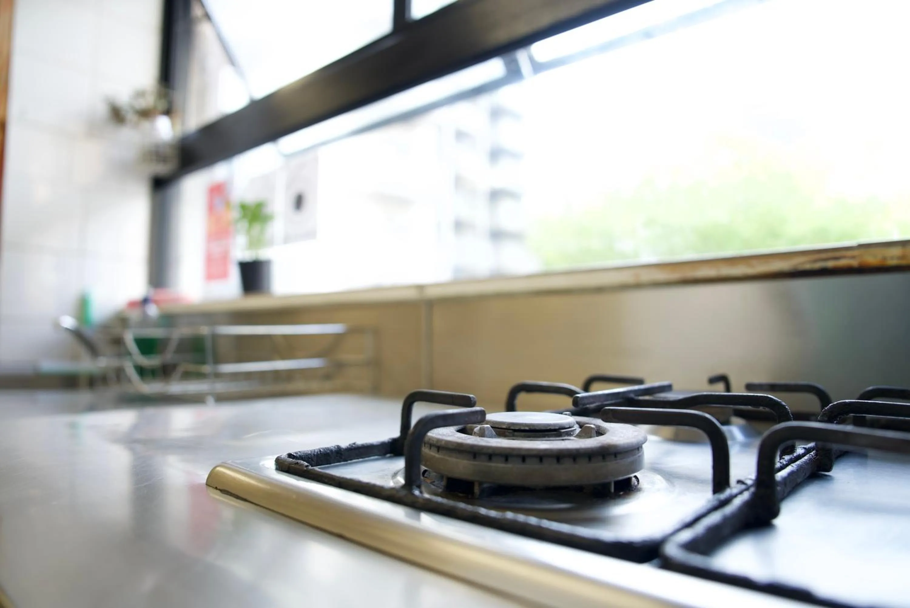 Kitchen or kitchenette in Silverfern Backpackers