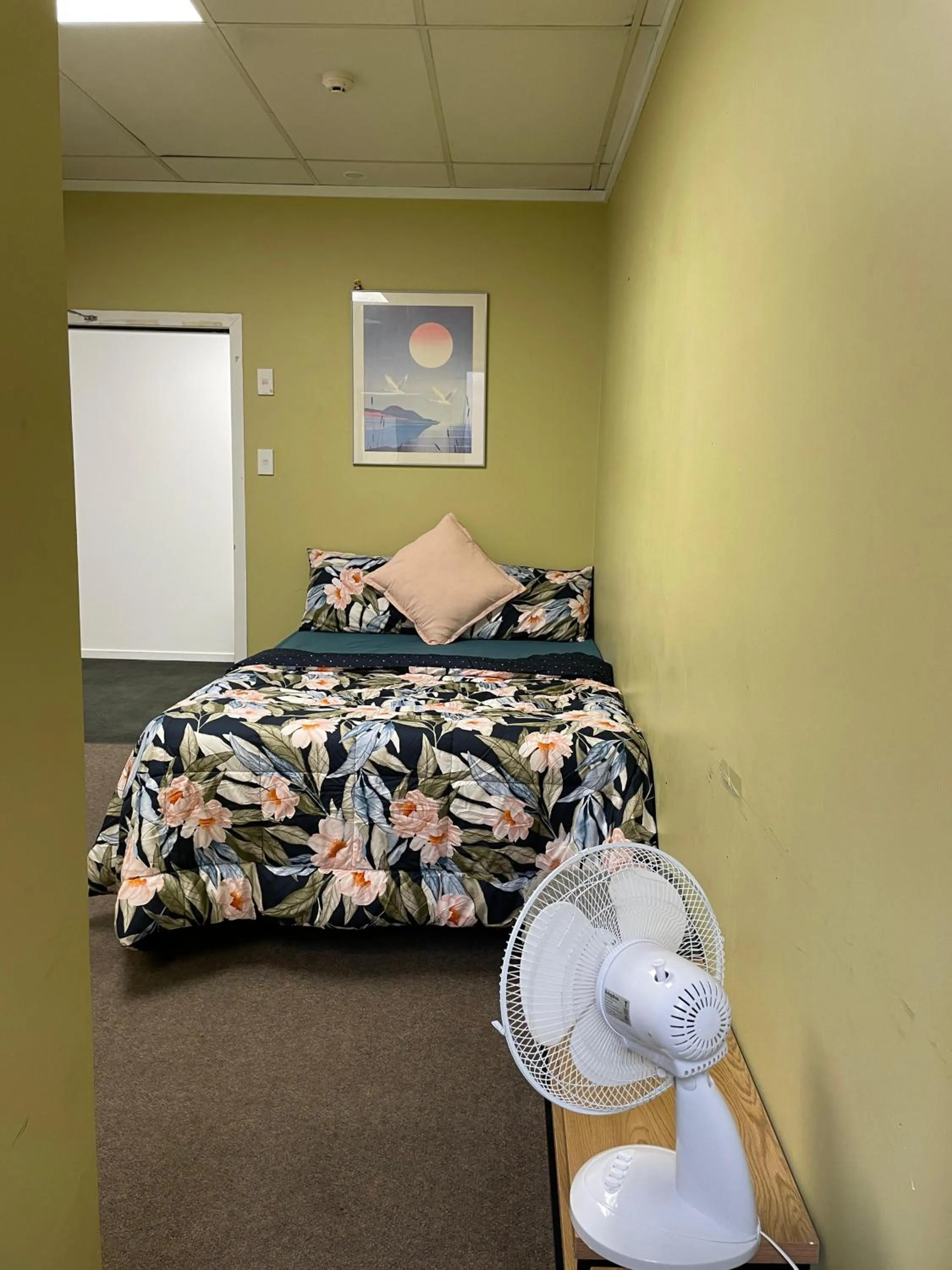 Bedroom, Bed in Silverfern Backpackers