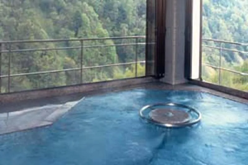 Hot Spring Bath in Shiga Kogen Hotel Shiga Sunvalley