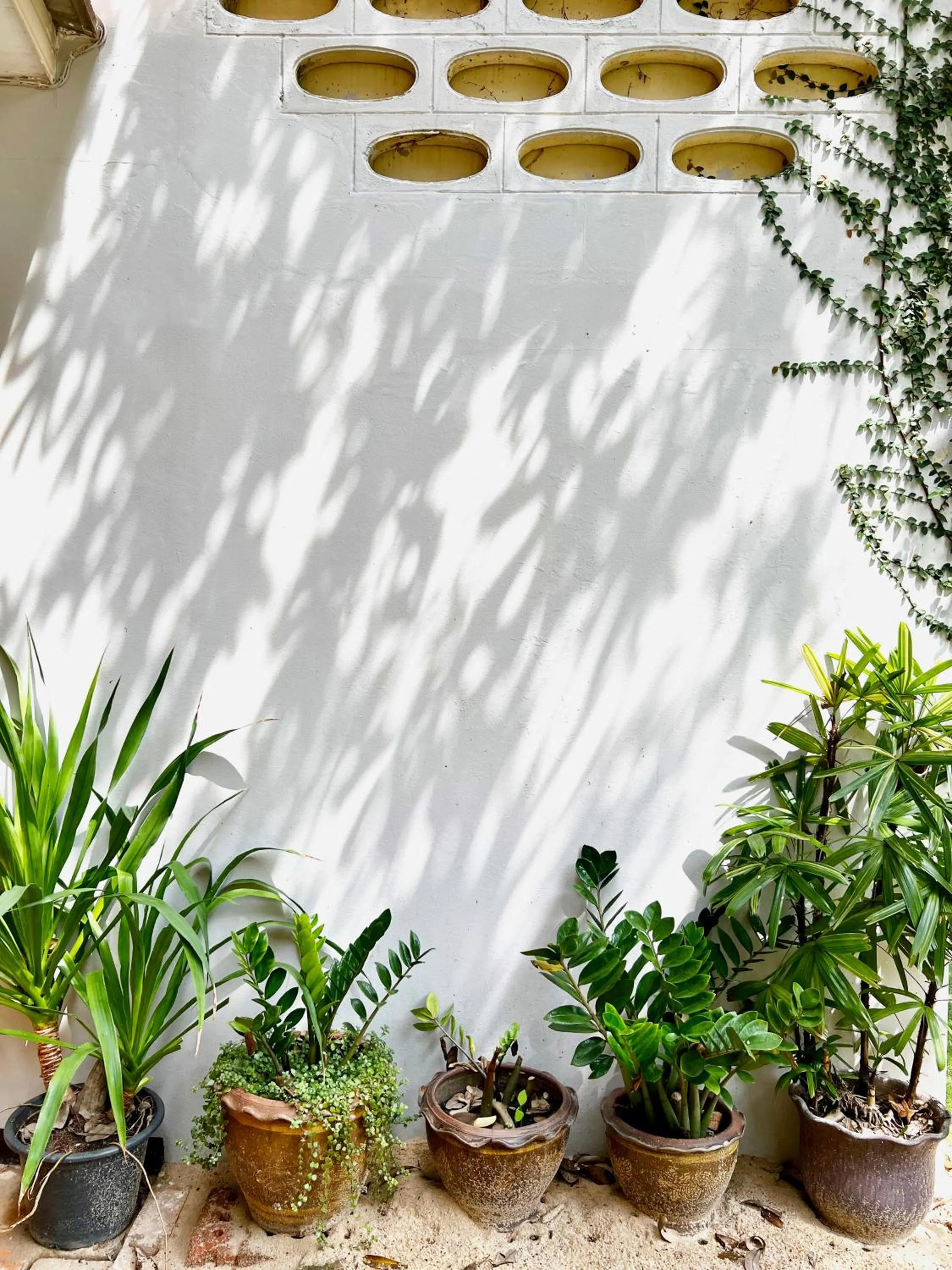 Property building in Hotel La Villa Khon Kaen