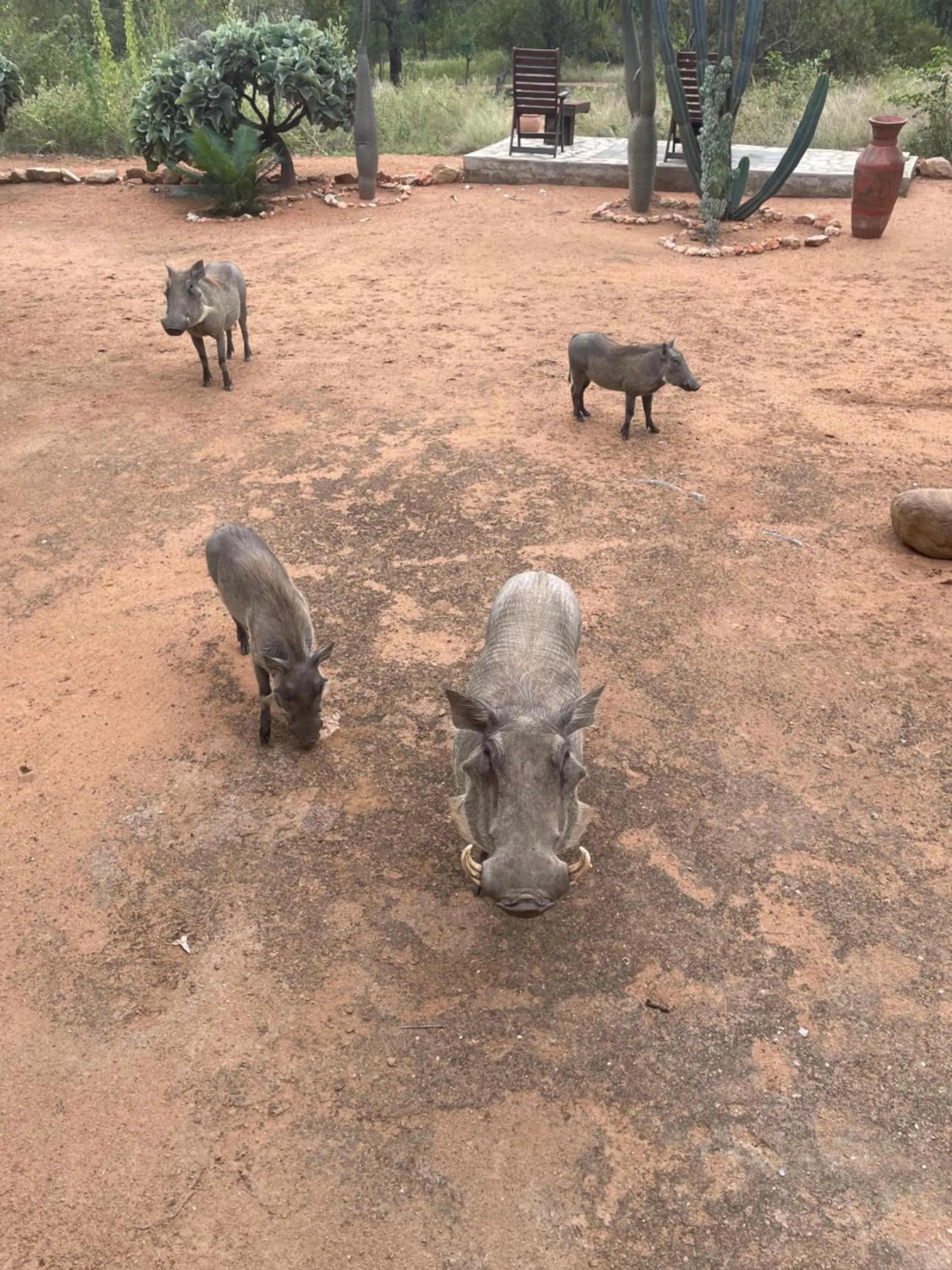 Off site in Thula Private Lodge