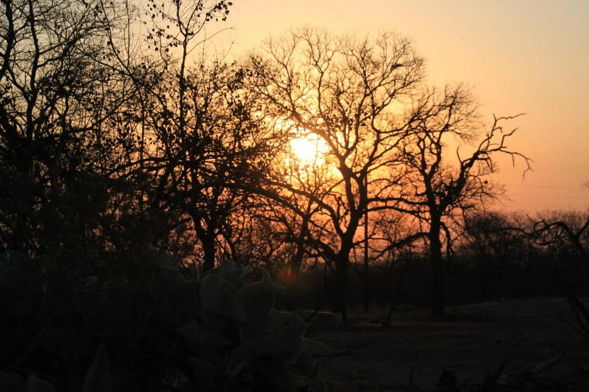 Sunset in Thula Private Lodge