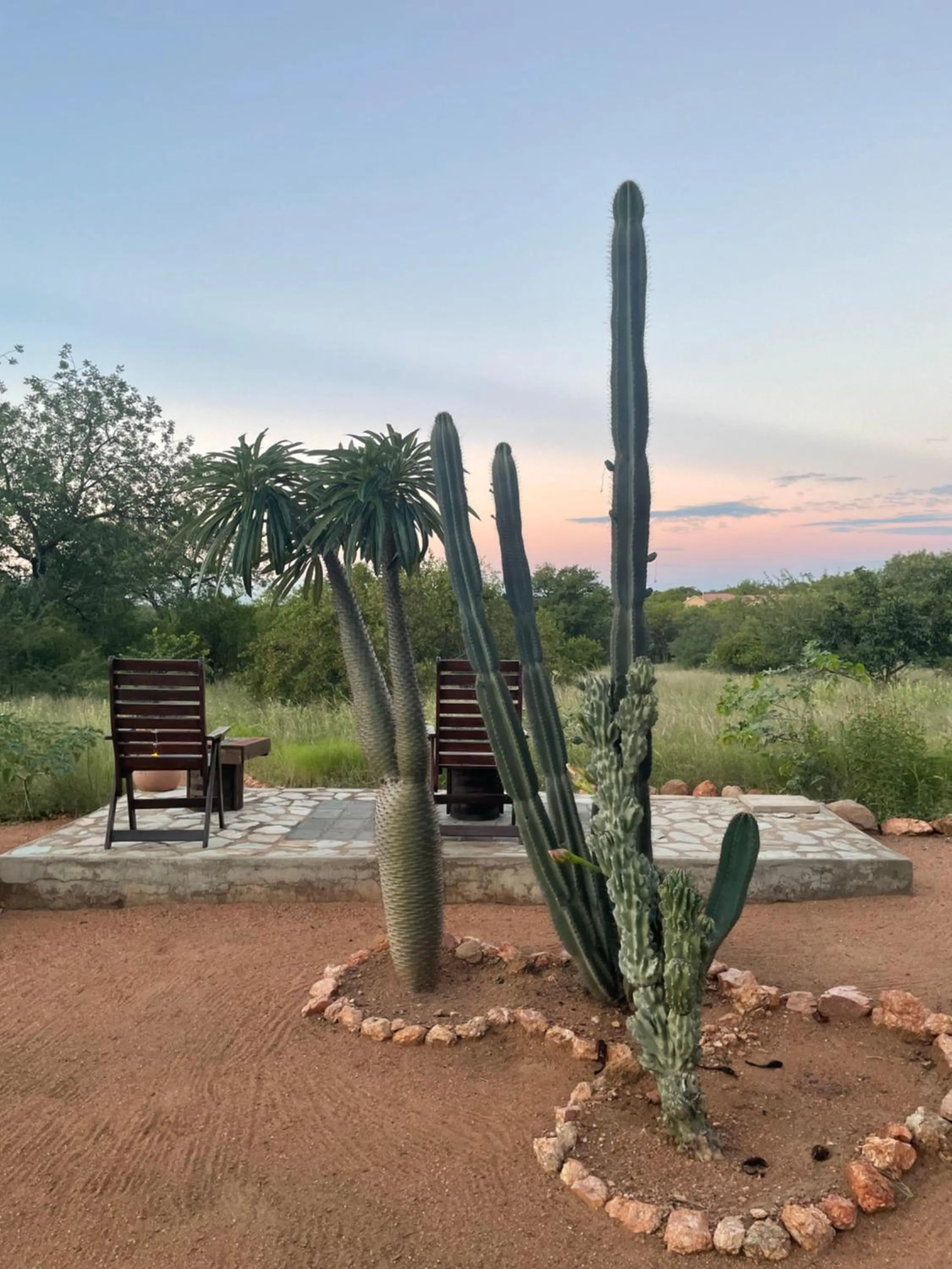 Garden in Thula Private Lodge