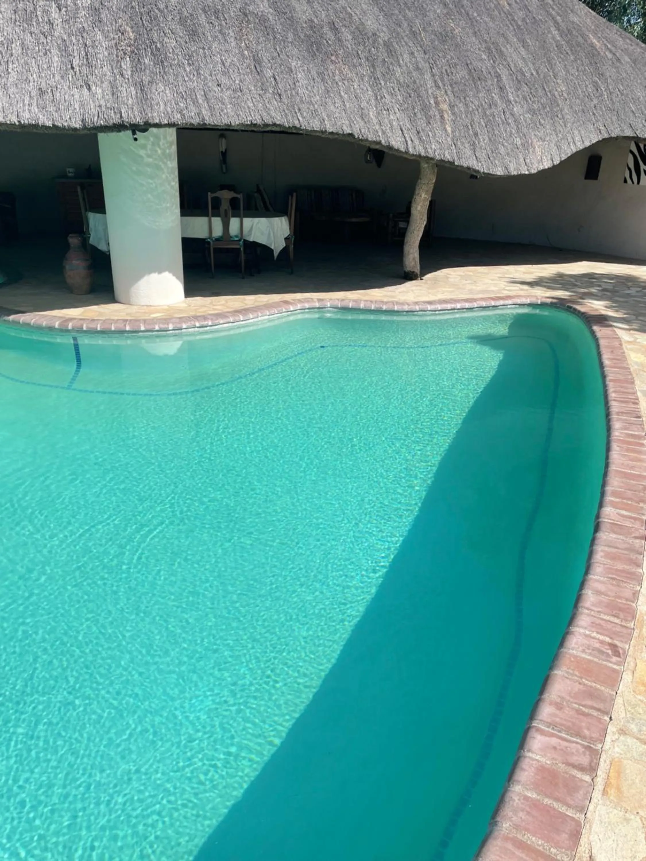 Swimming pool in Thula Private Lodge