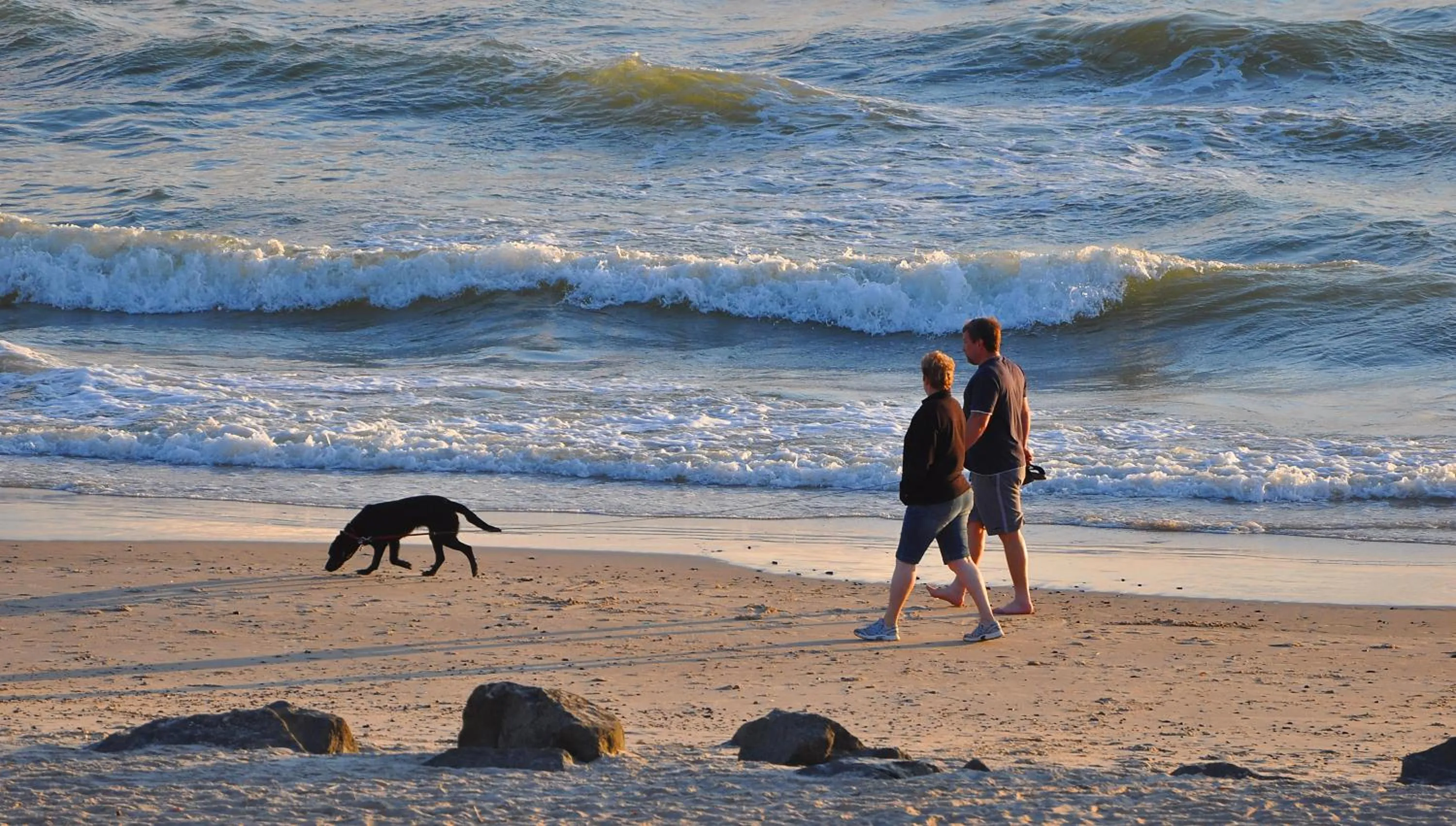 Beach in Dancamps Holmsland (Camp Site)