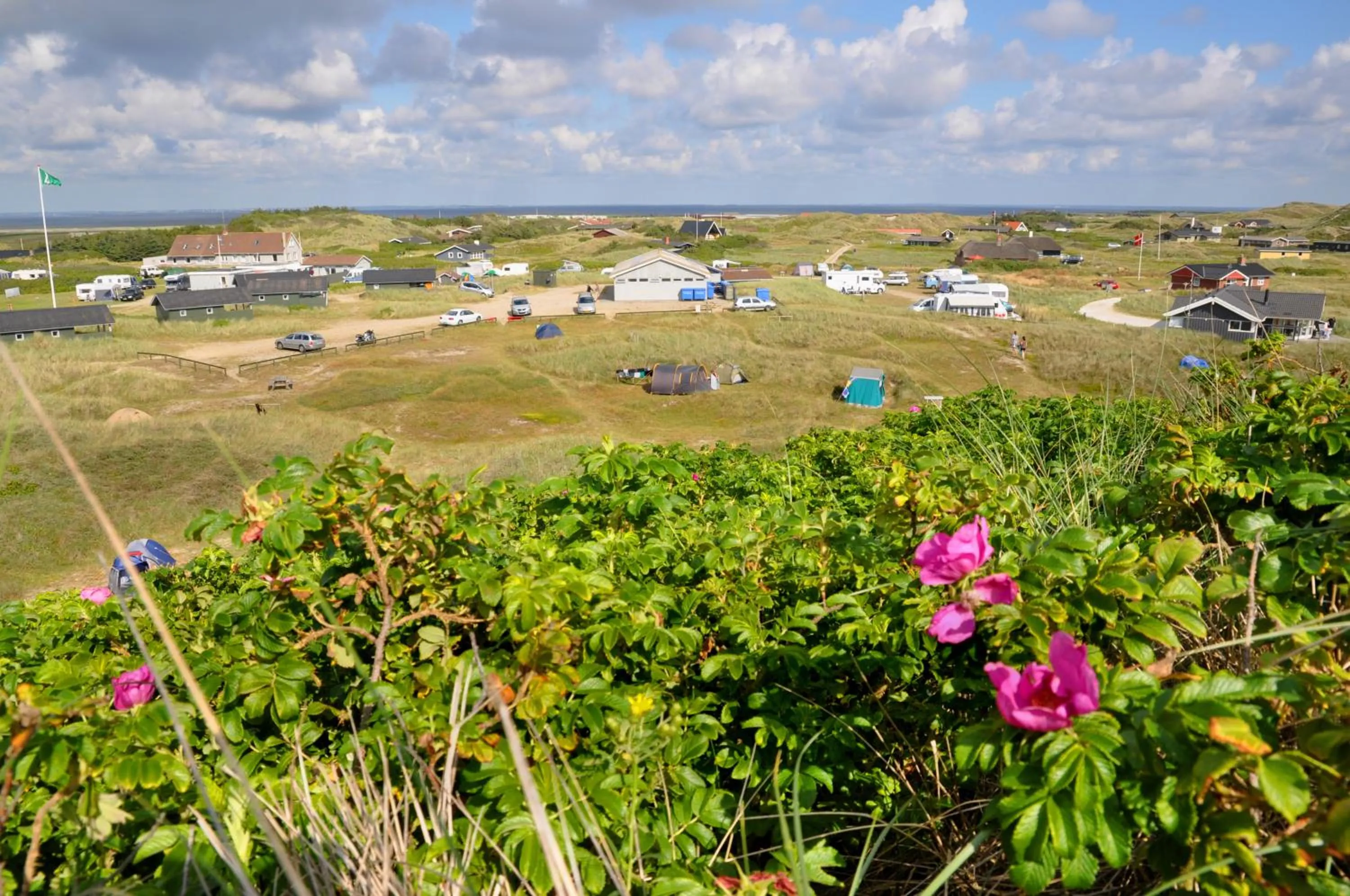 View (from property/room) in Dancamps Holmsland (Camp Site)