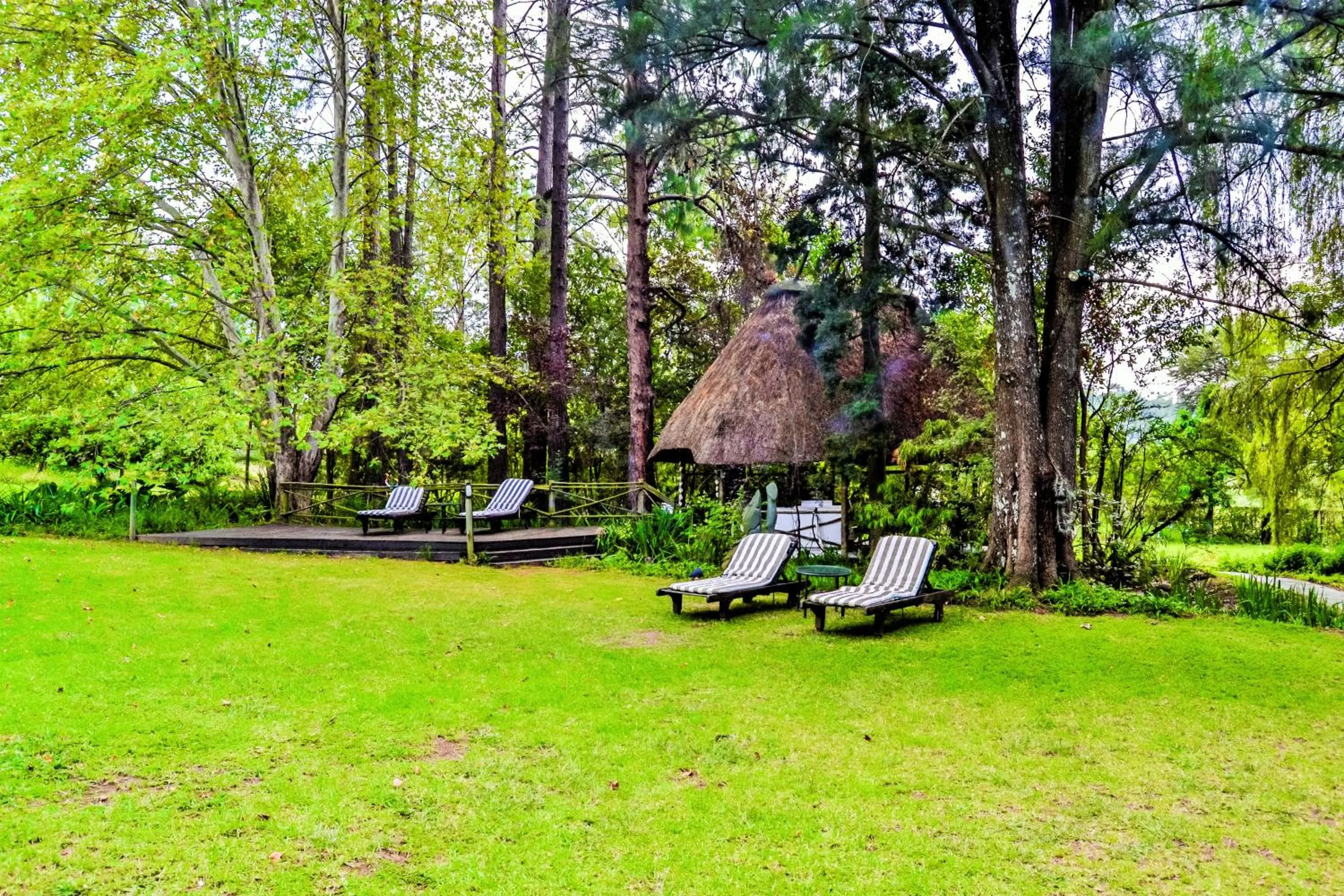 Garden in Hakunamatata Lodge & Health Spa