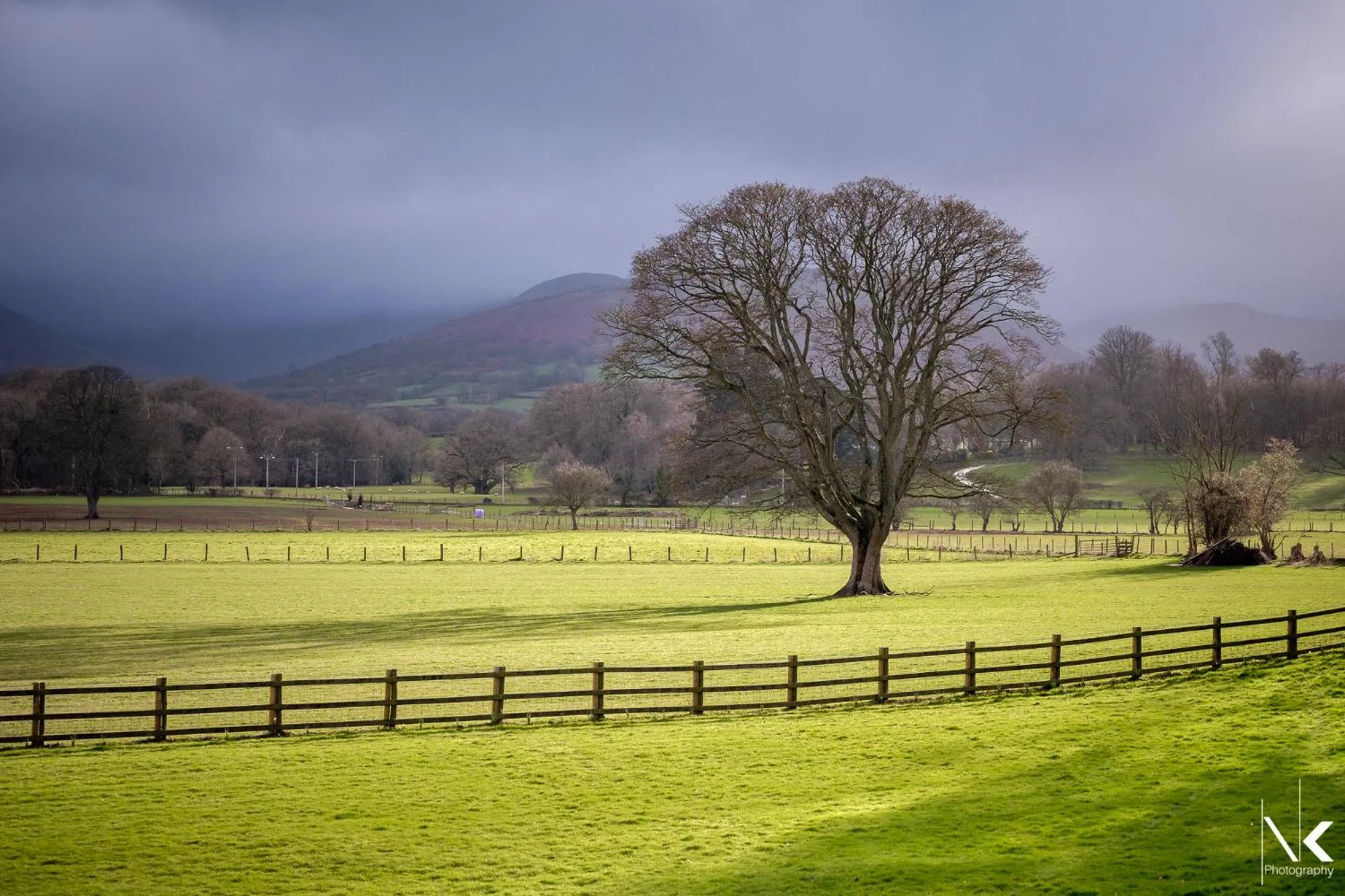 Spring in The Lodge Brecon B&B