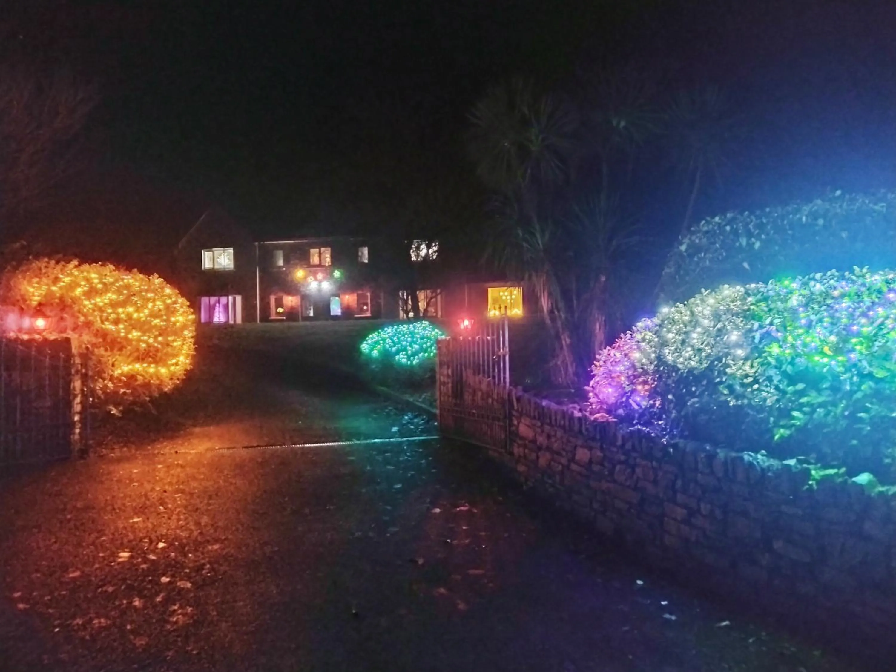 Garden view in PK Lodge Bed and breakfast