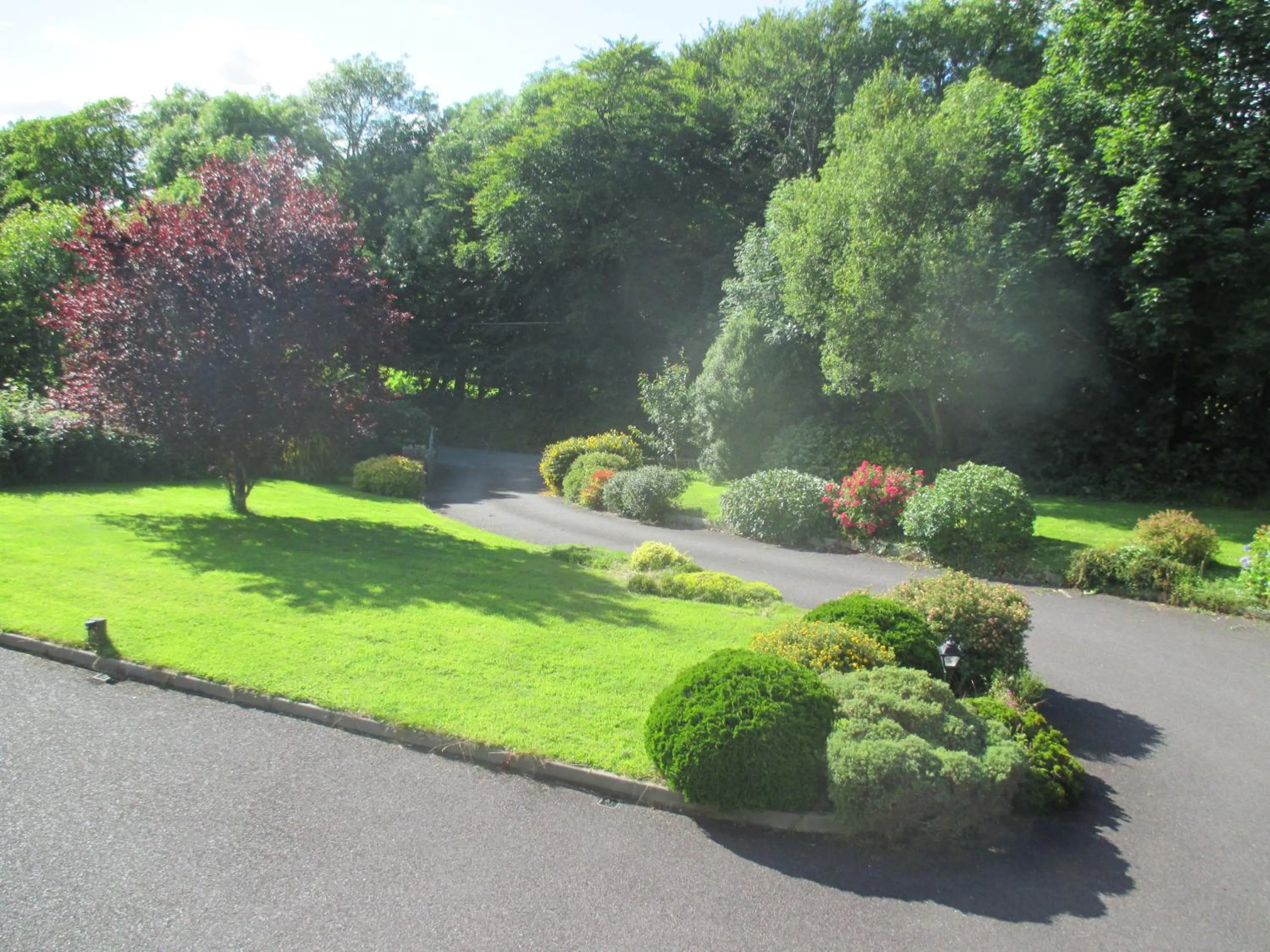 Garden in PK Lodge Bed and breakfast