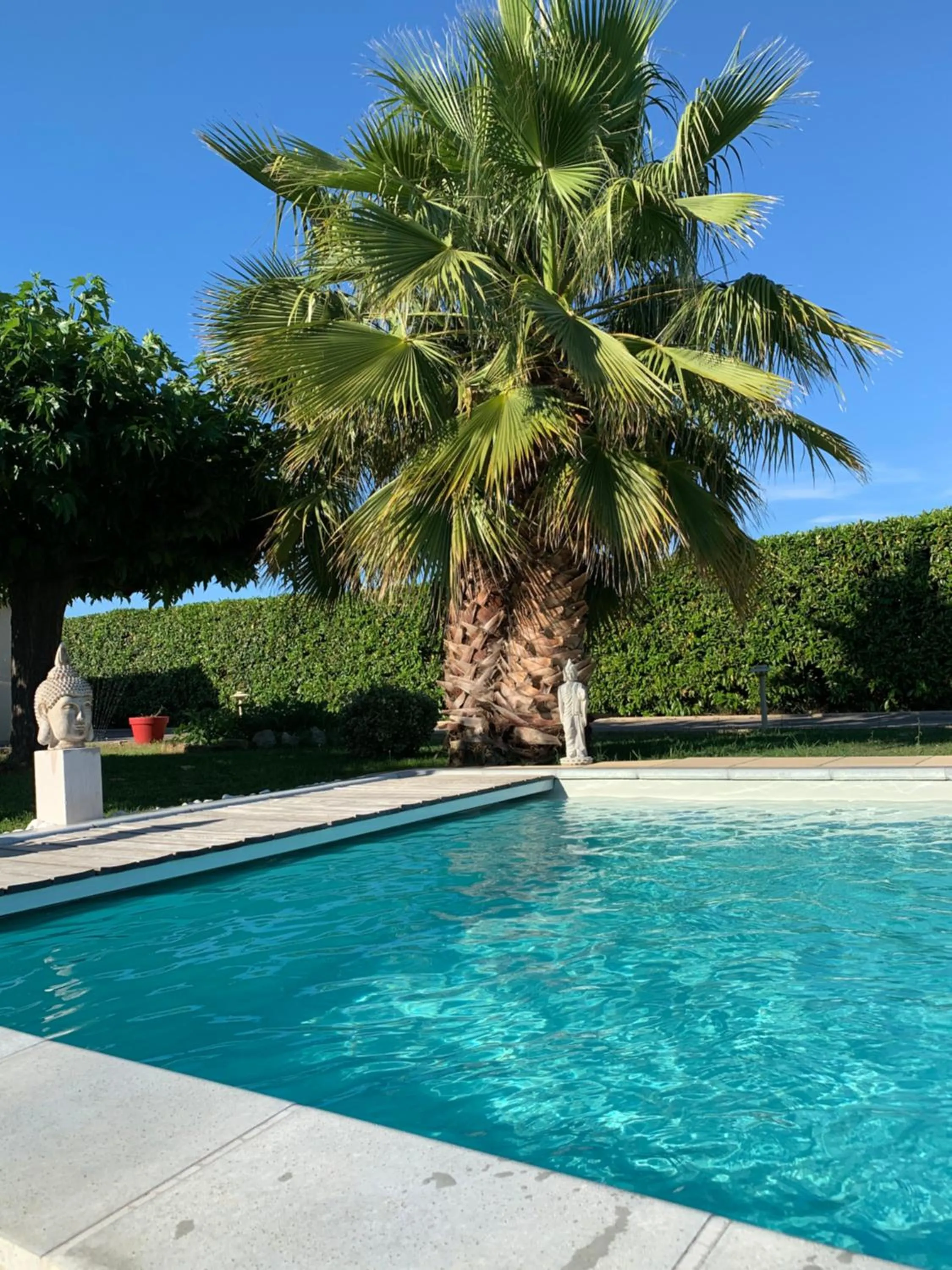 Pool view in Atelier des Vidaux