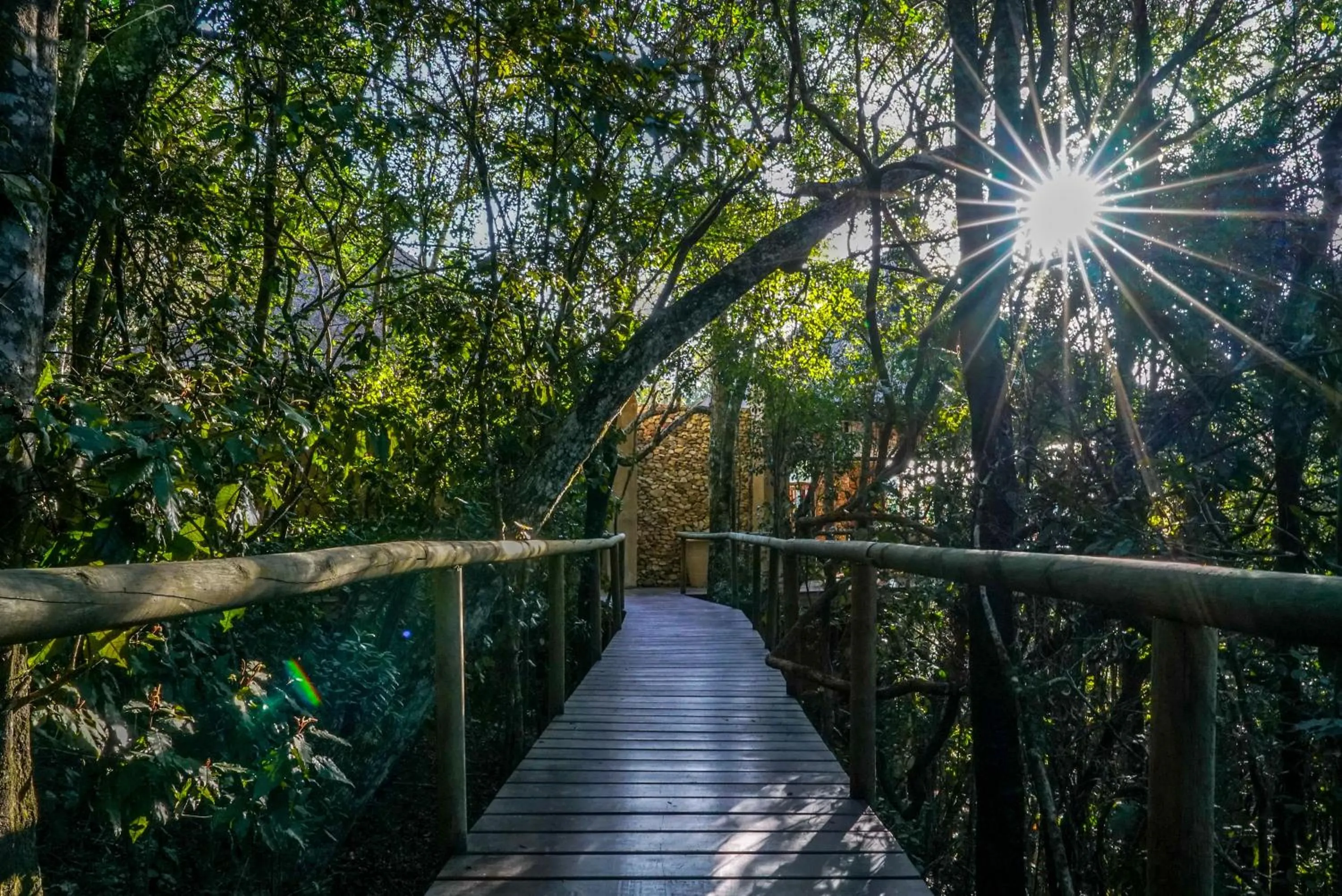 Trogon House and Forest Spa