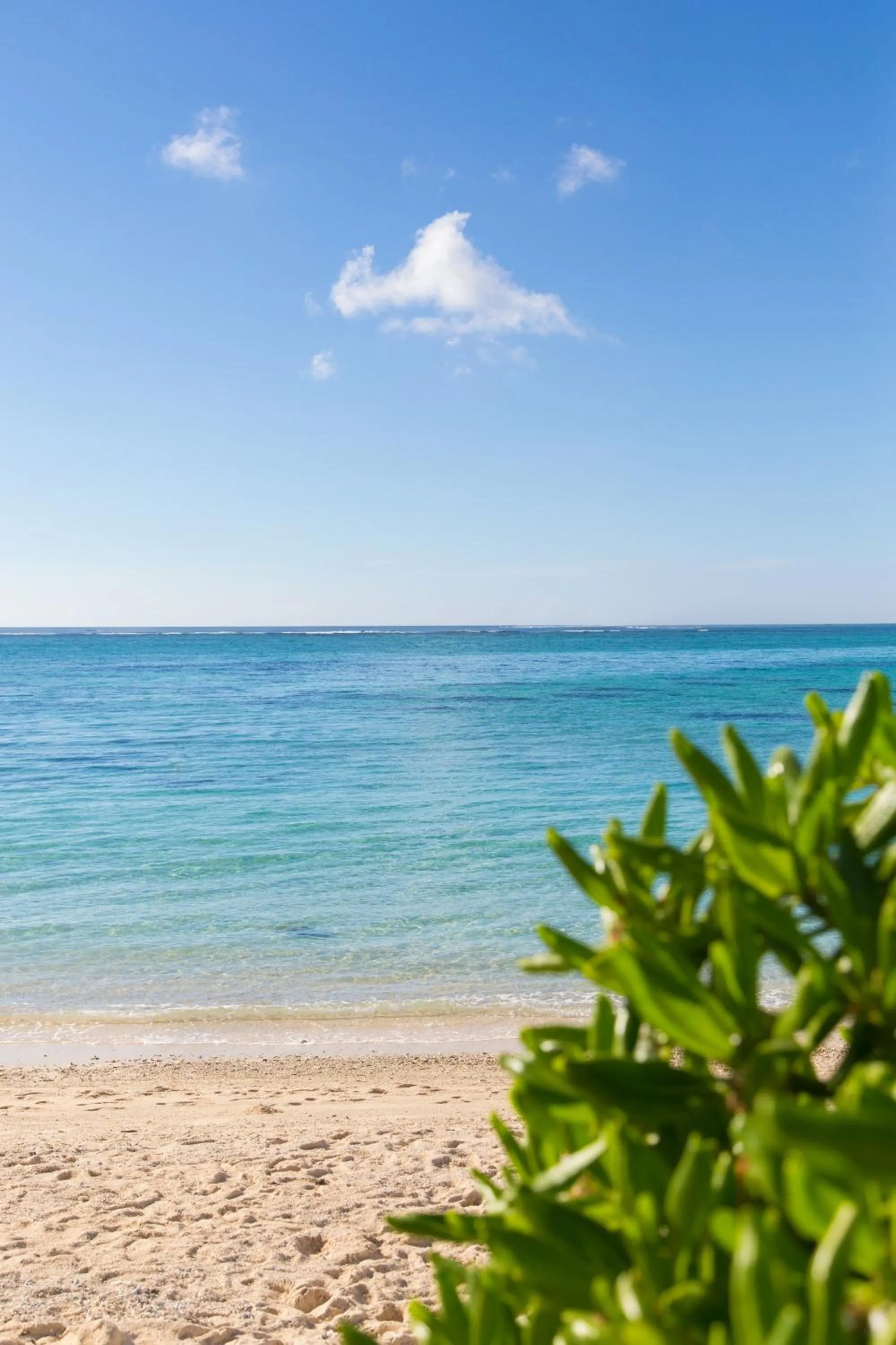 Day in Friday Attitude