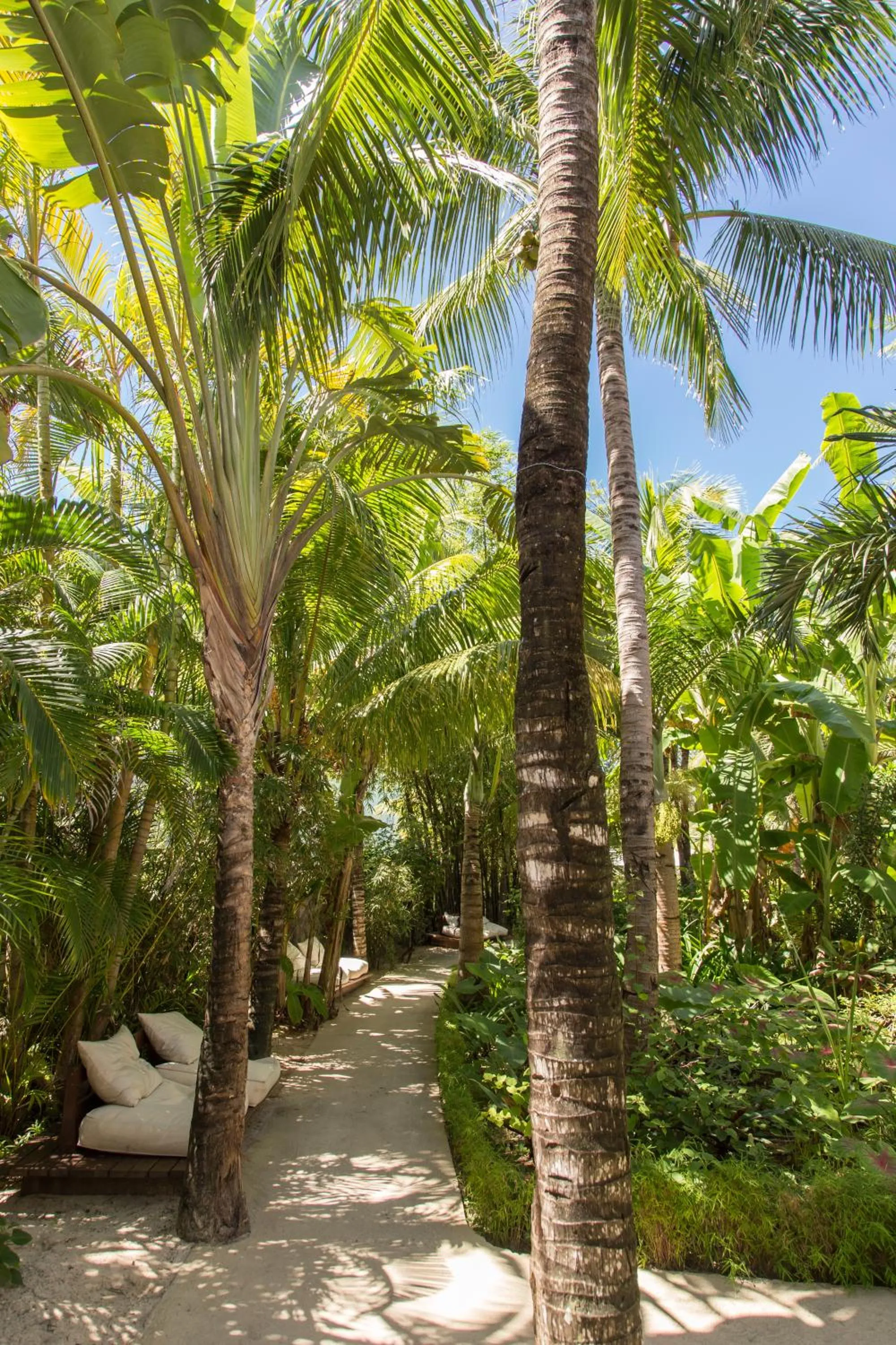 Day in Friday Attitude