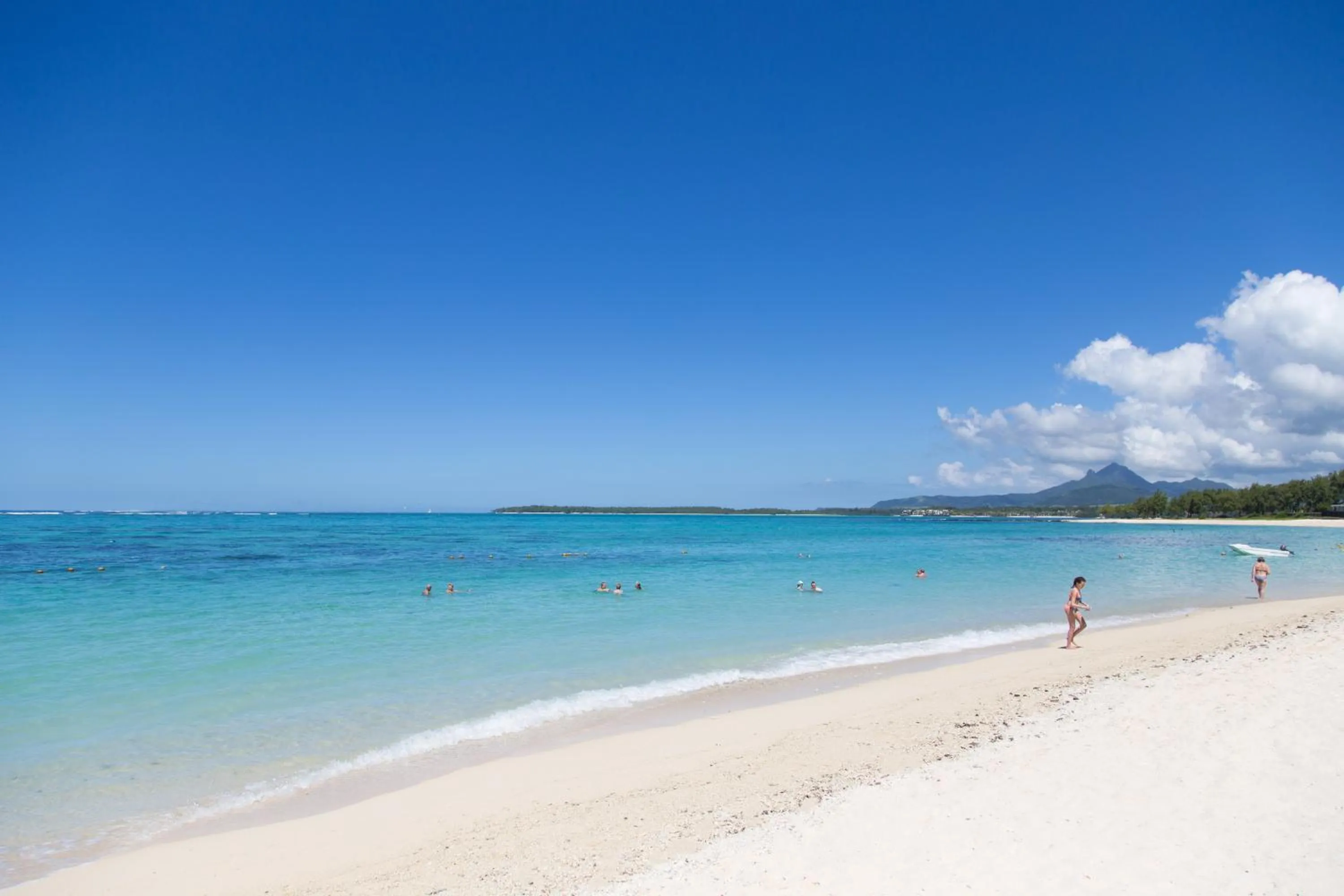 Day in Friday Attitude