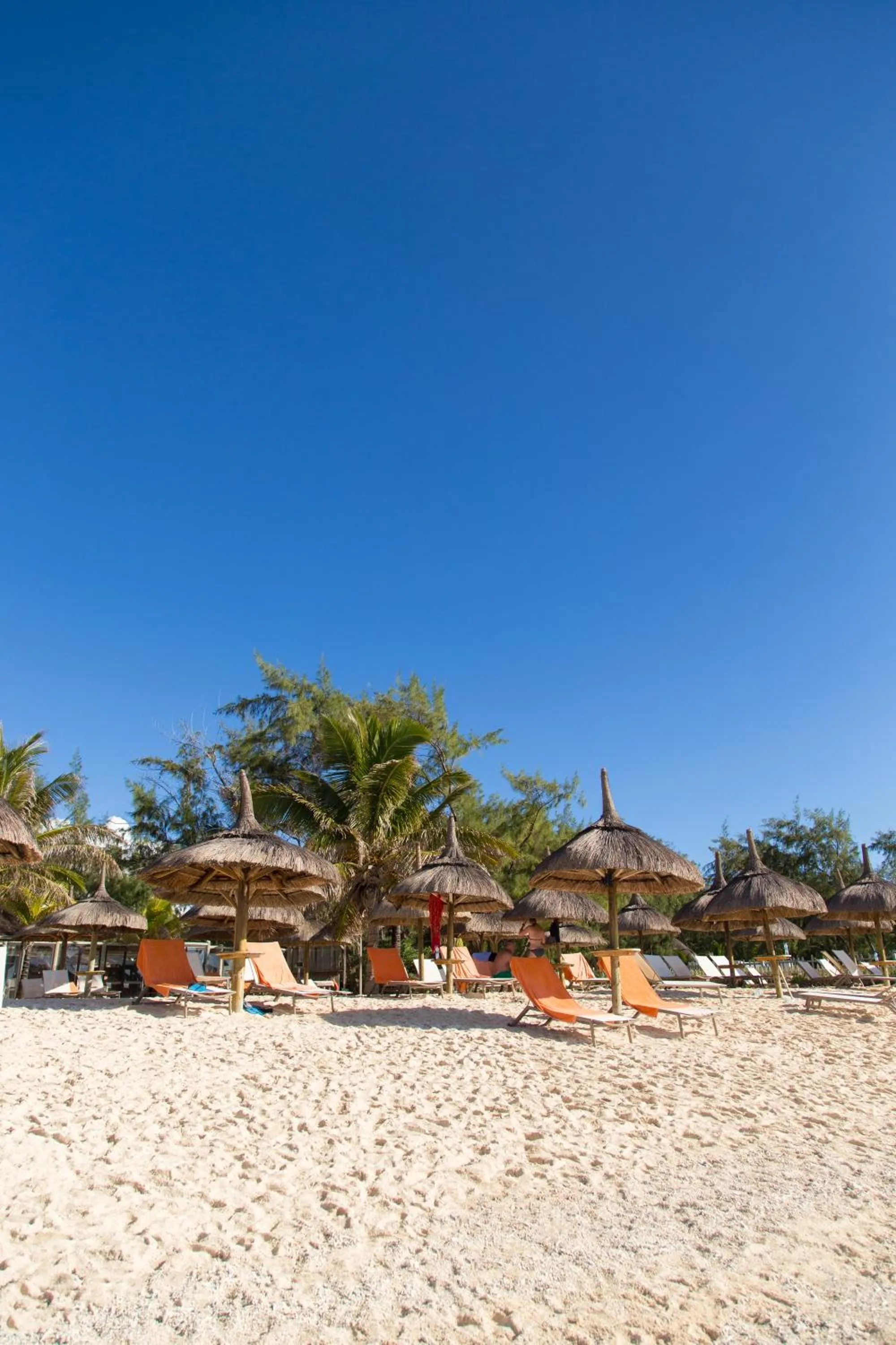 Day in Friday Attitude