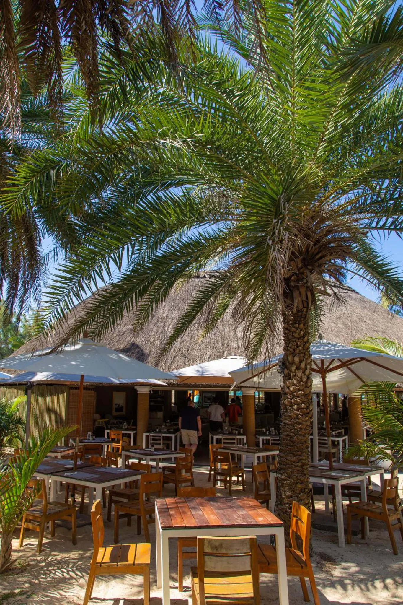 Restaurant/places to eat in Friday Attitude