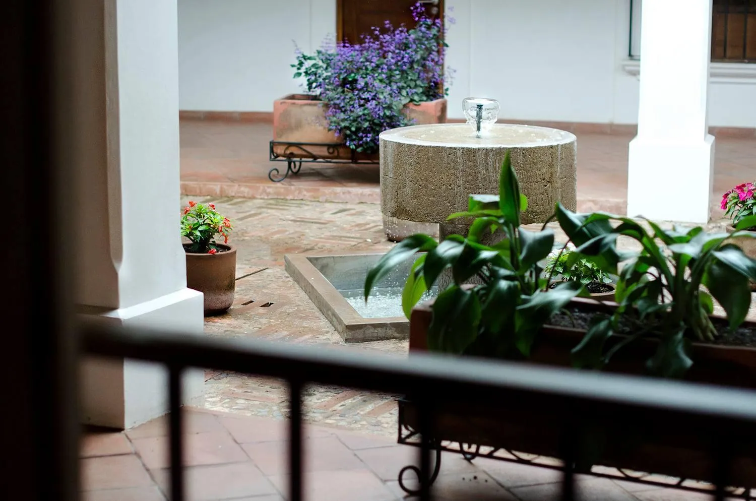 Garden in Hotel Posada Santa Rita