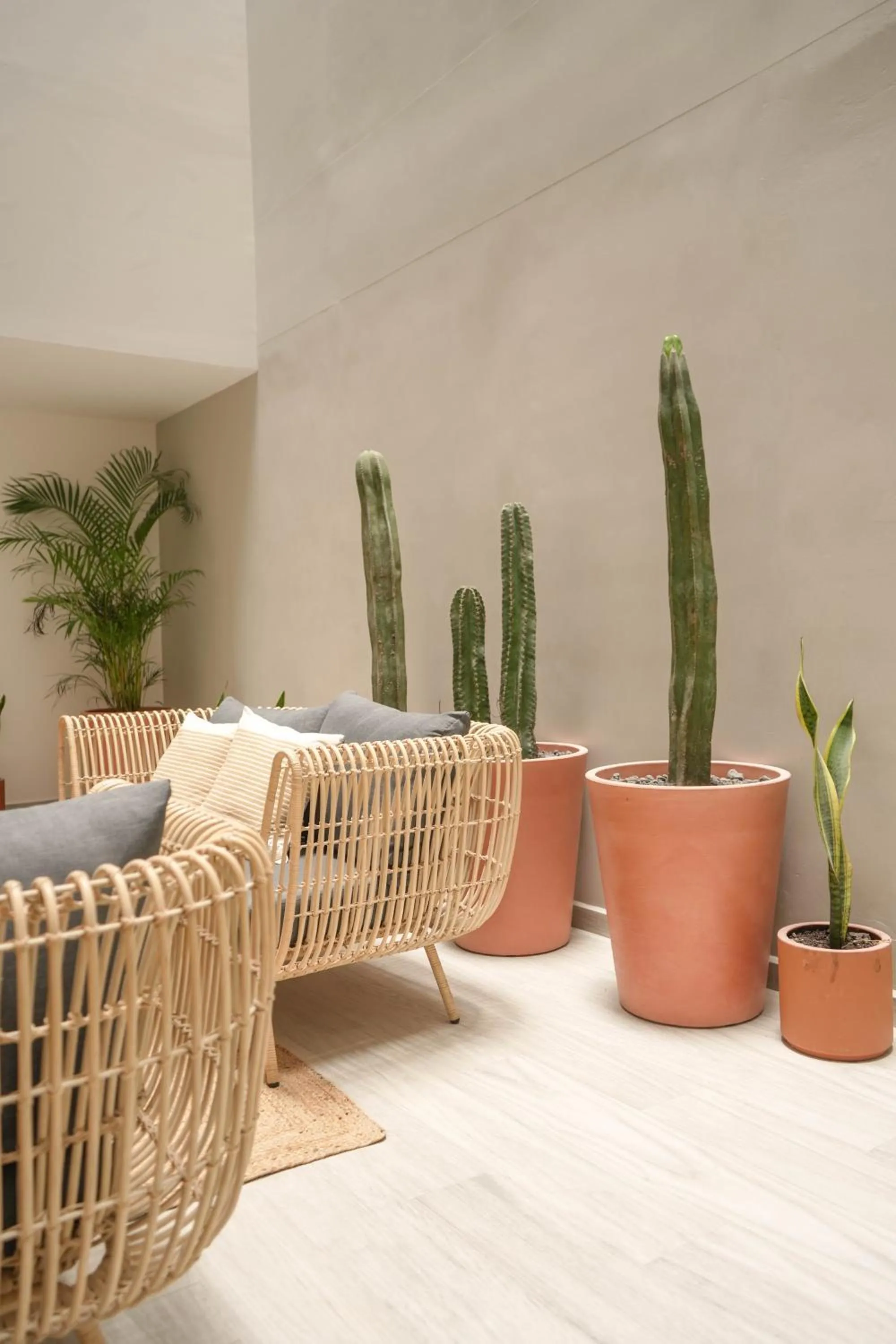 Macondo Quinta Avenida Residences