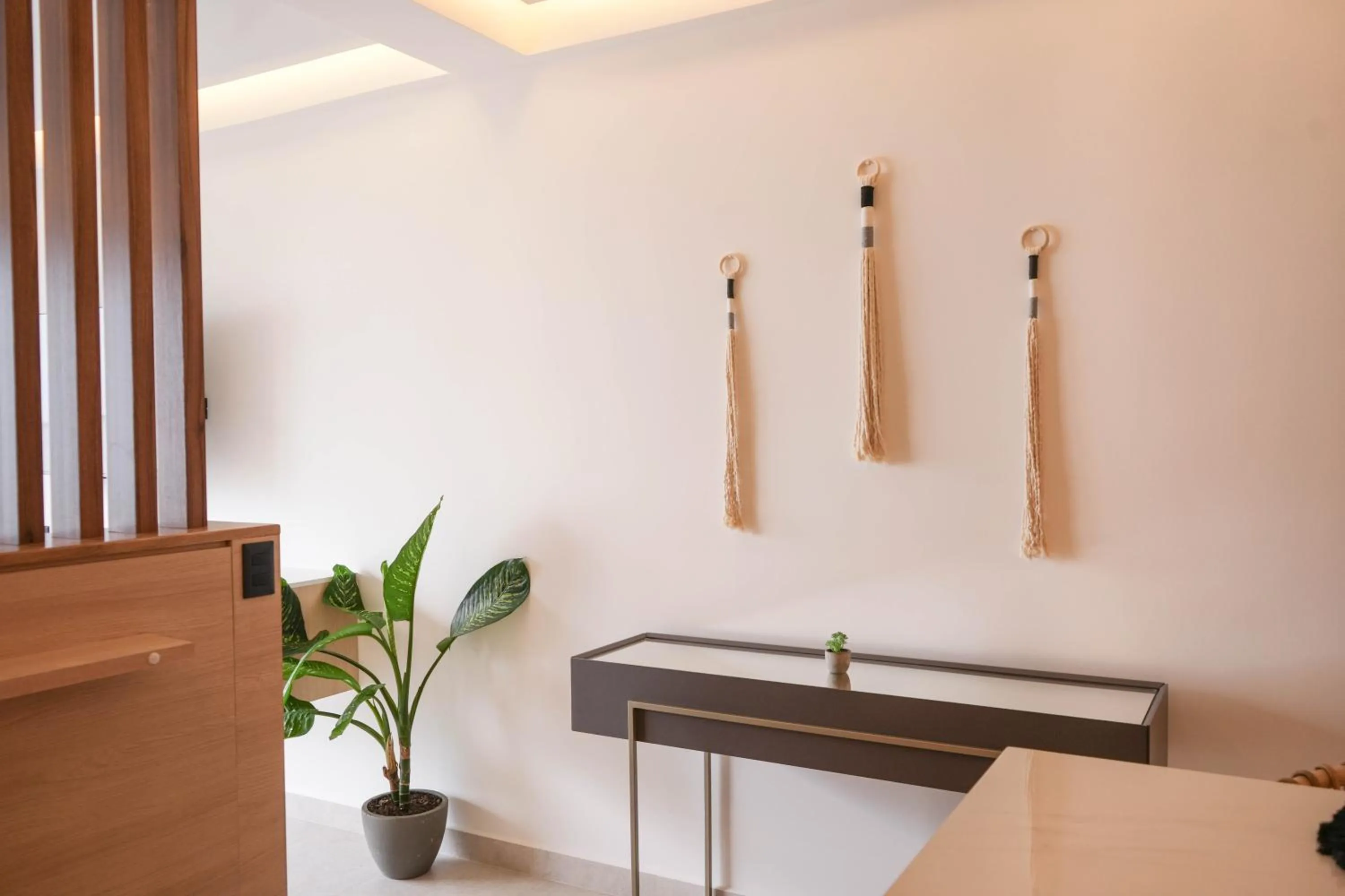 Macondo Quinta Avenida Residences