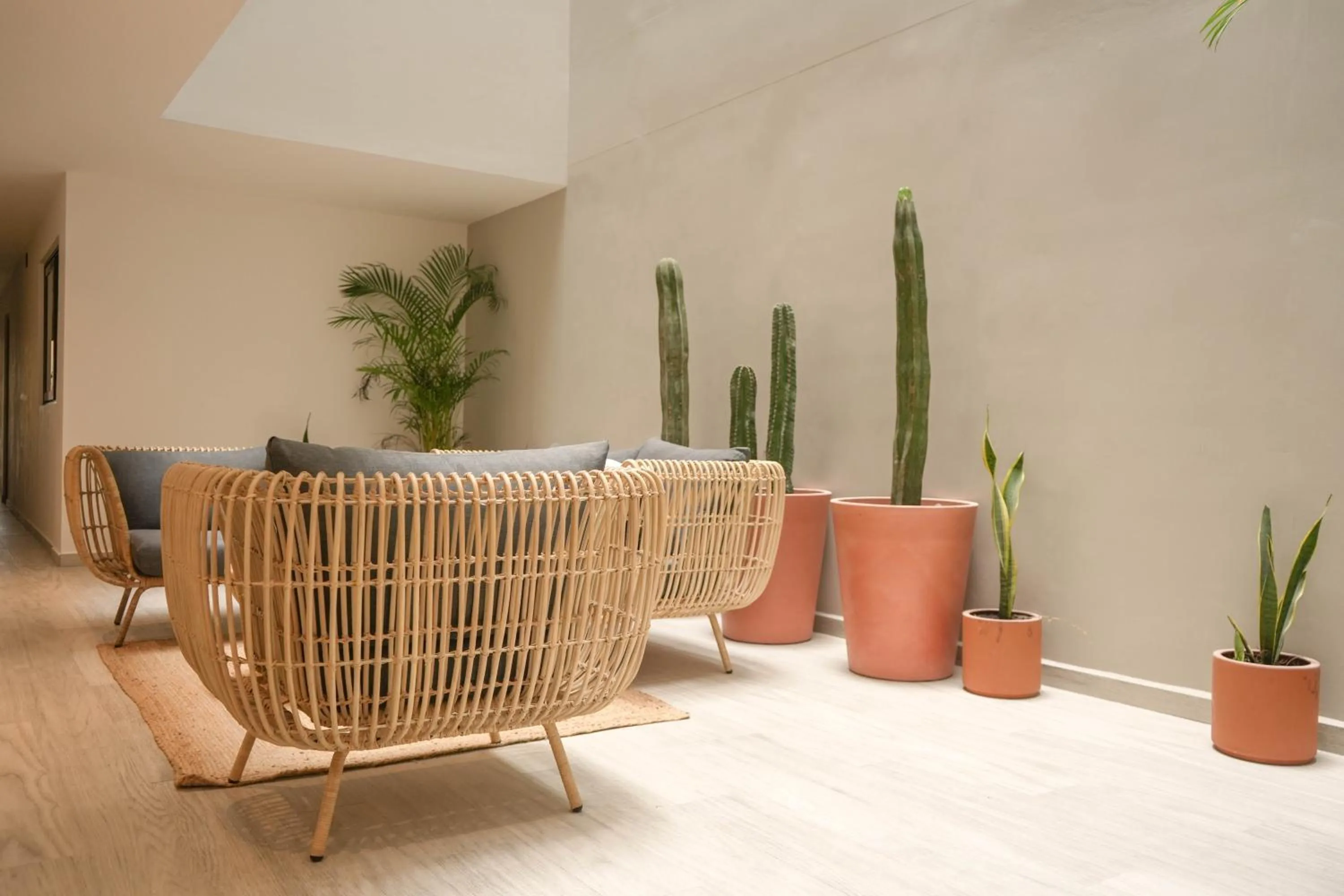 Macondo Quinta Avenida Residences