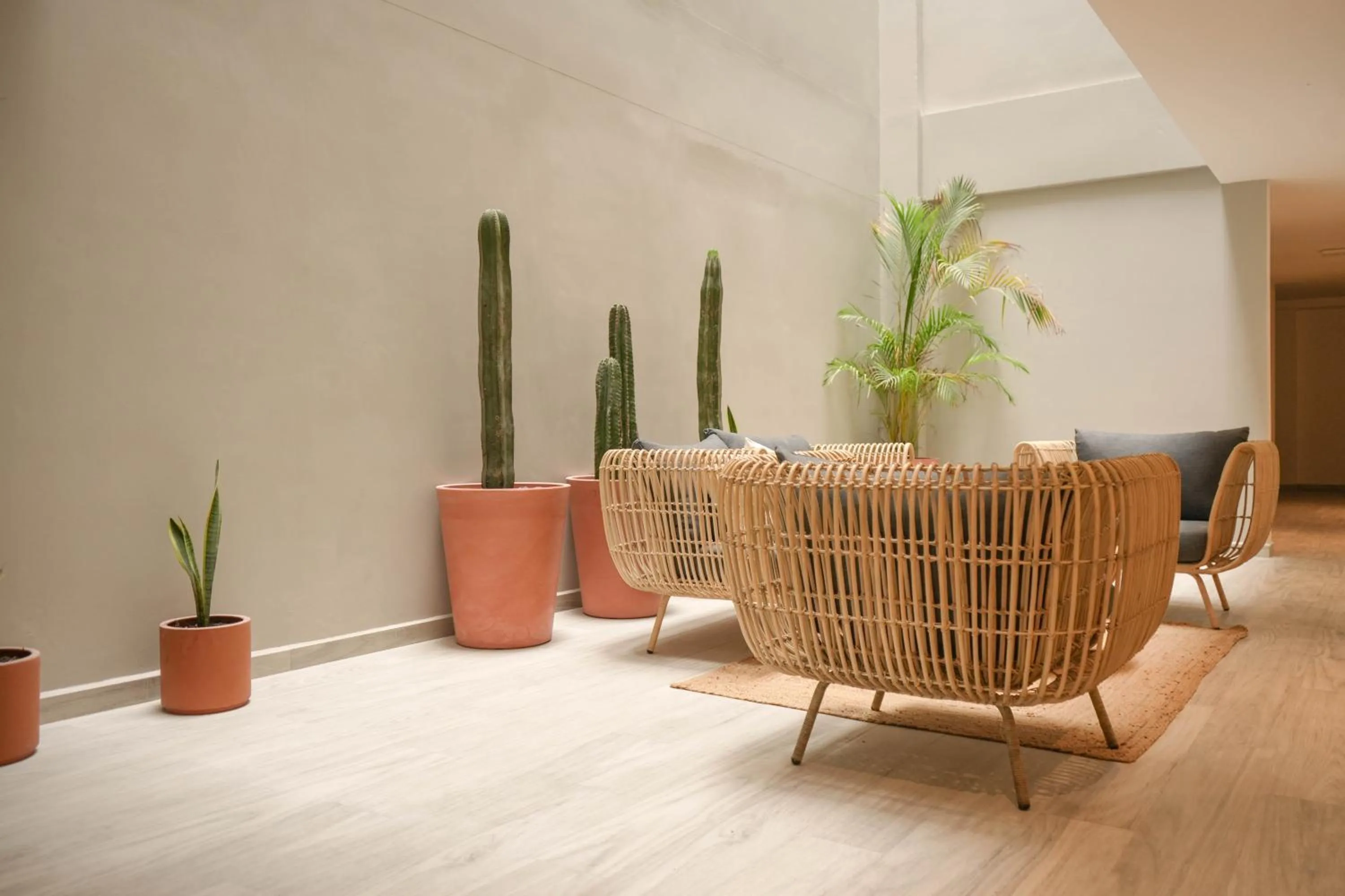 Macondo Quinta Avenida Residences