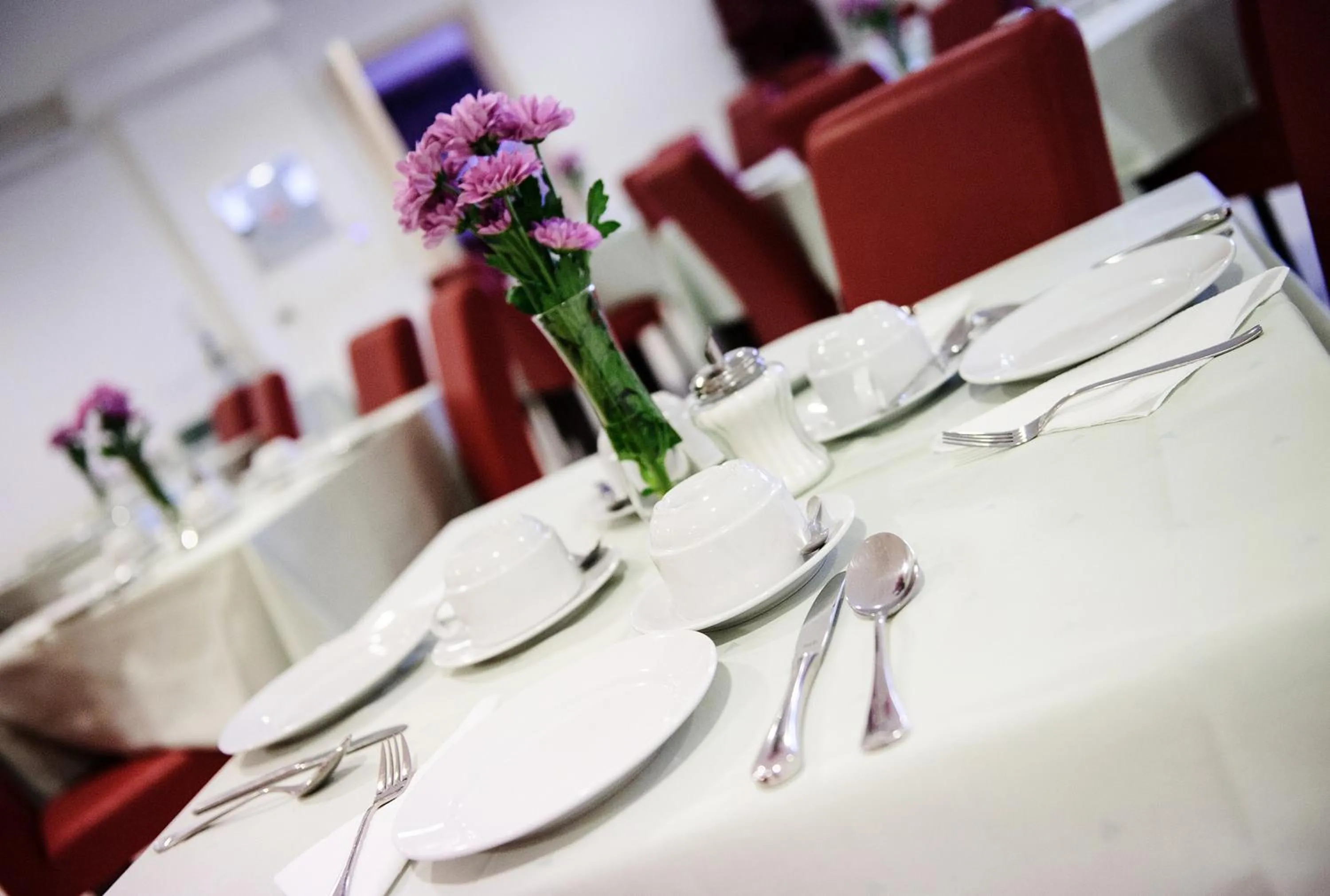 Restaurant/places to eat in Villa Palloma