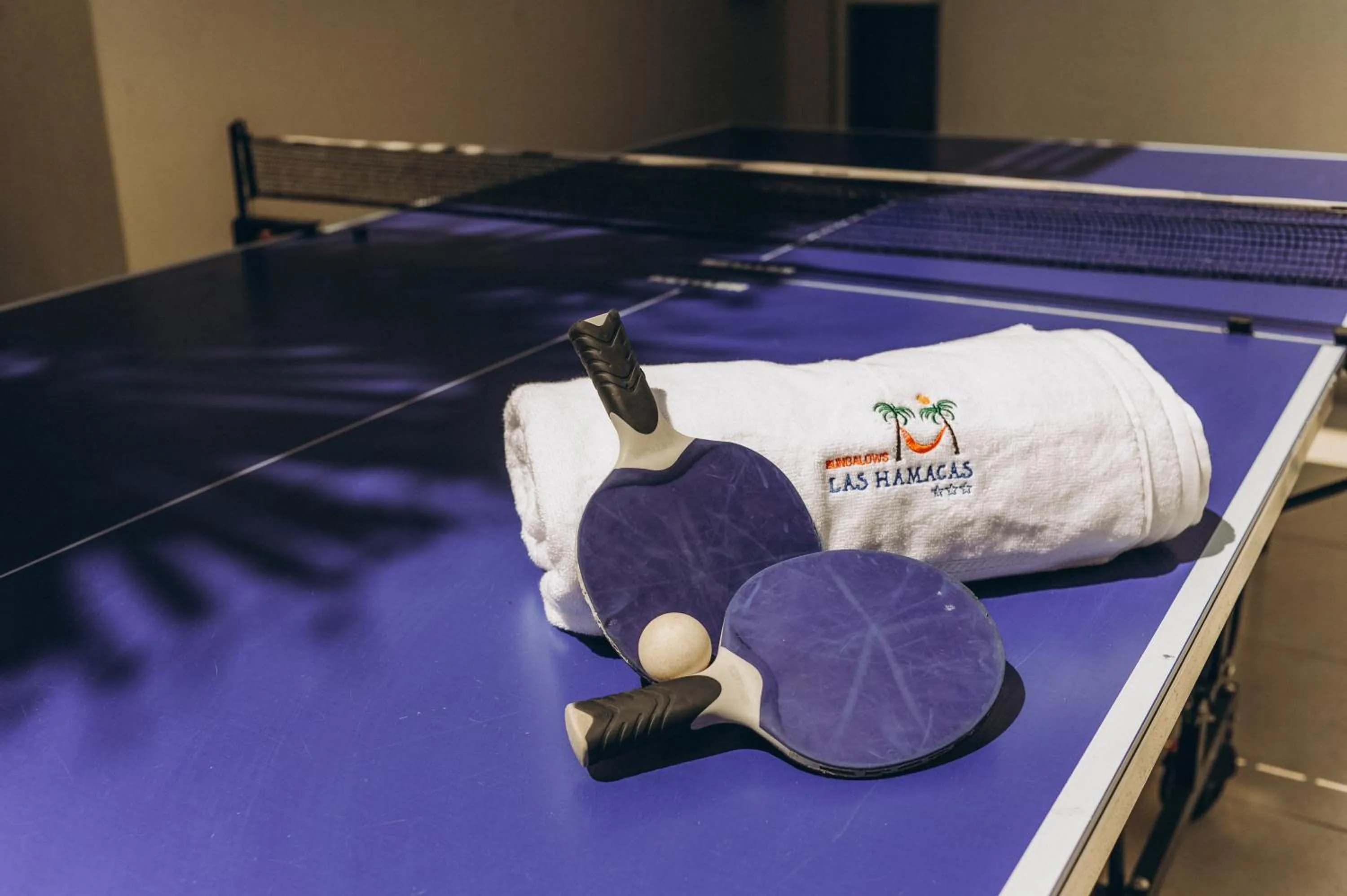 Table tennis in Bungalows Las Hamacas