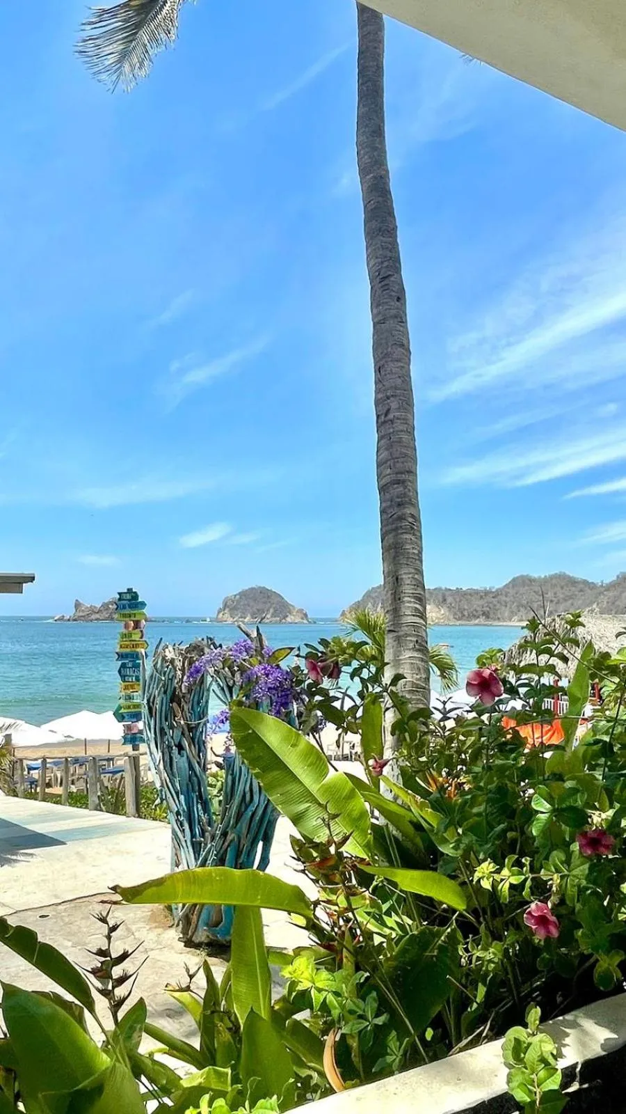 Restaurant/places to eat in Bungalows Las Hamacas