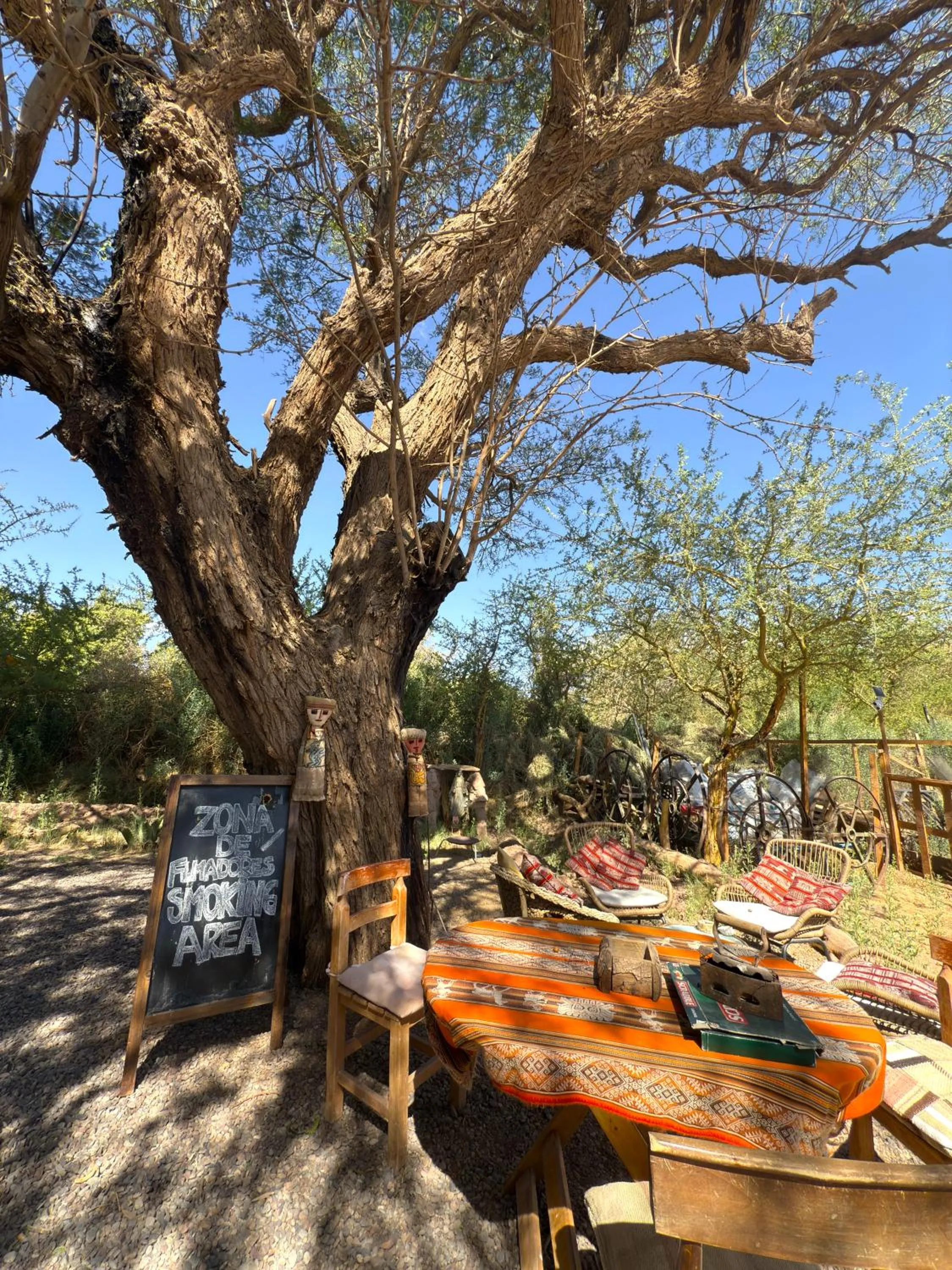 Garden in Atacama Lodge Rukazen Rústico