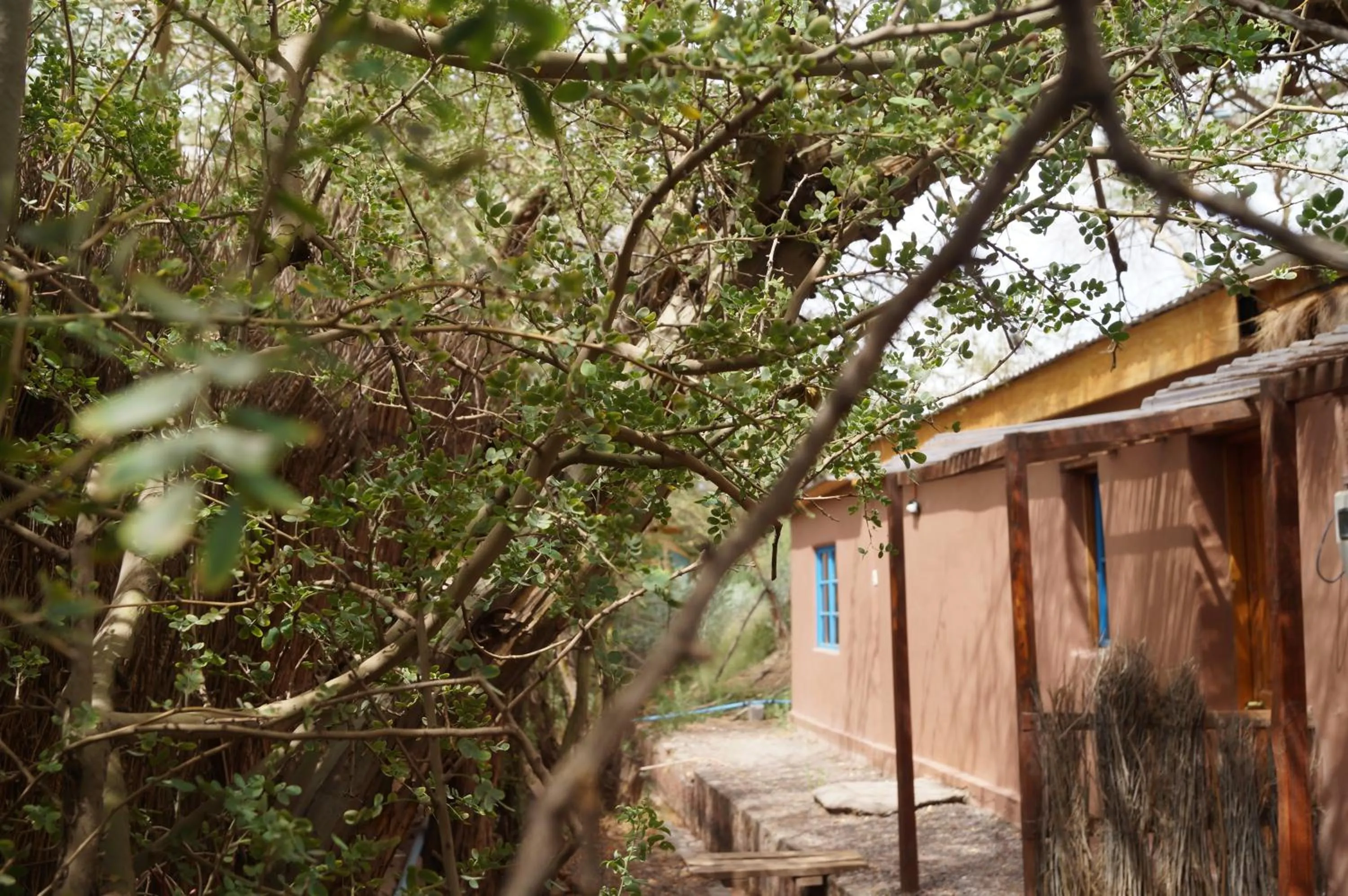 Property building in Atacama Lodge Rukazen Rústico