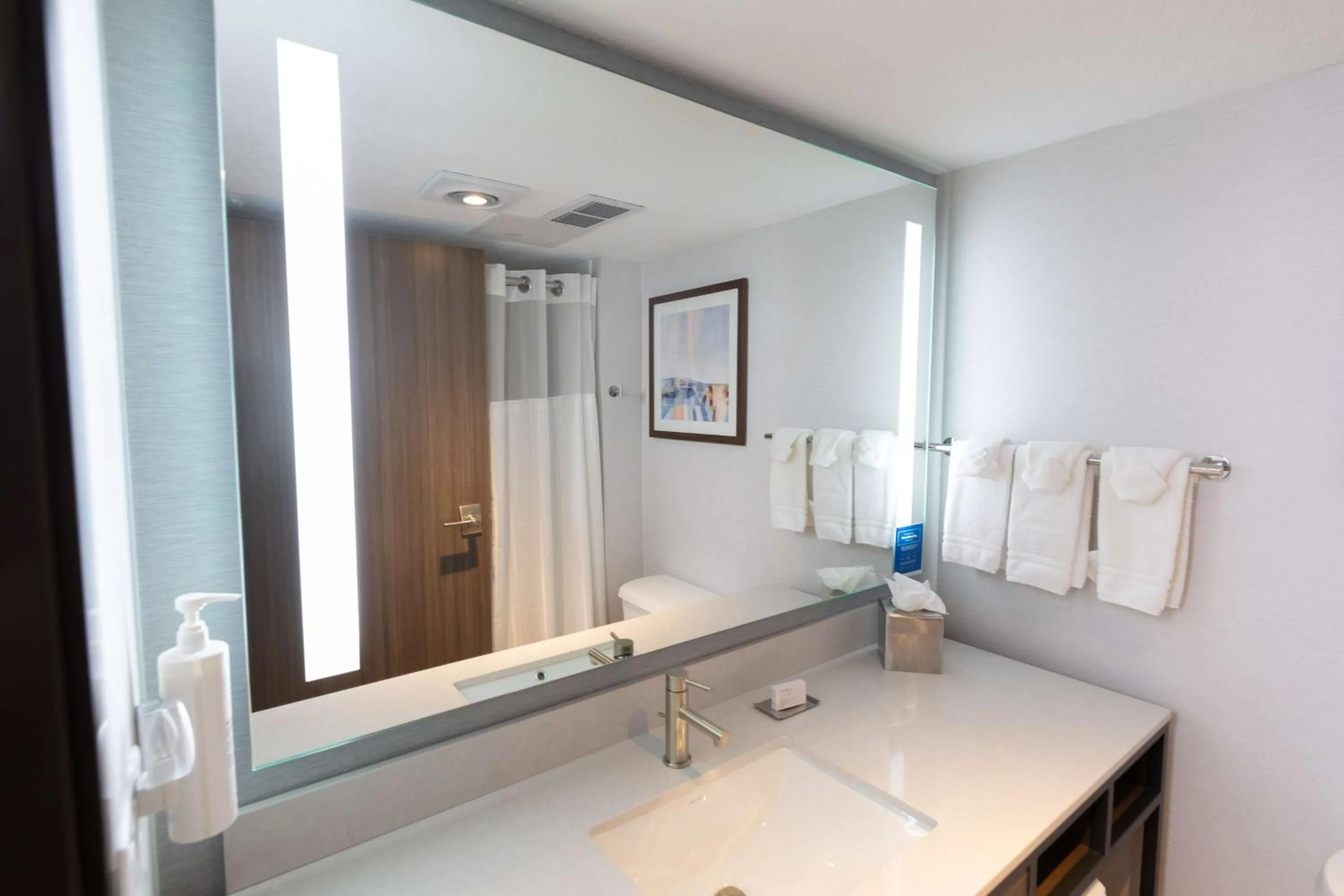 Bathroom in Hilton Garden Inn Des Moines Airport