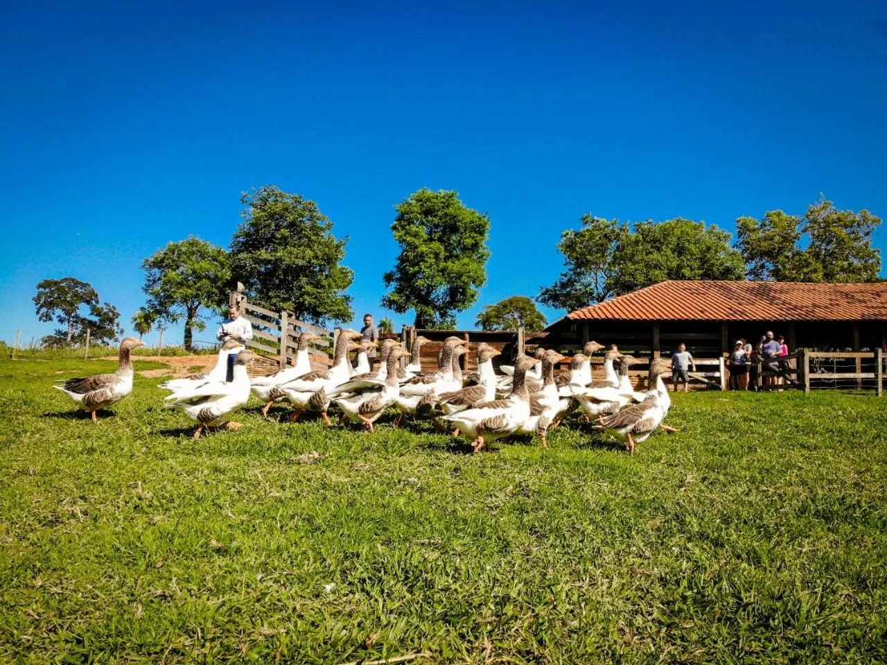 Garden in Eco Resort Foz do Marinheiro