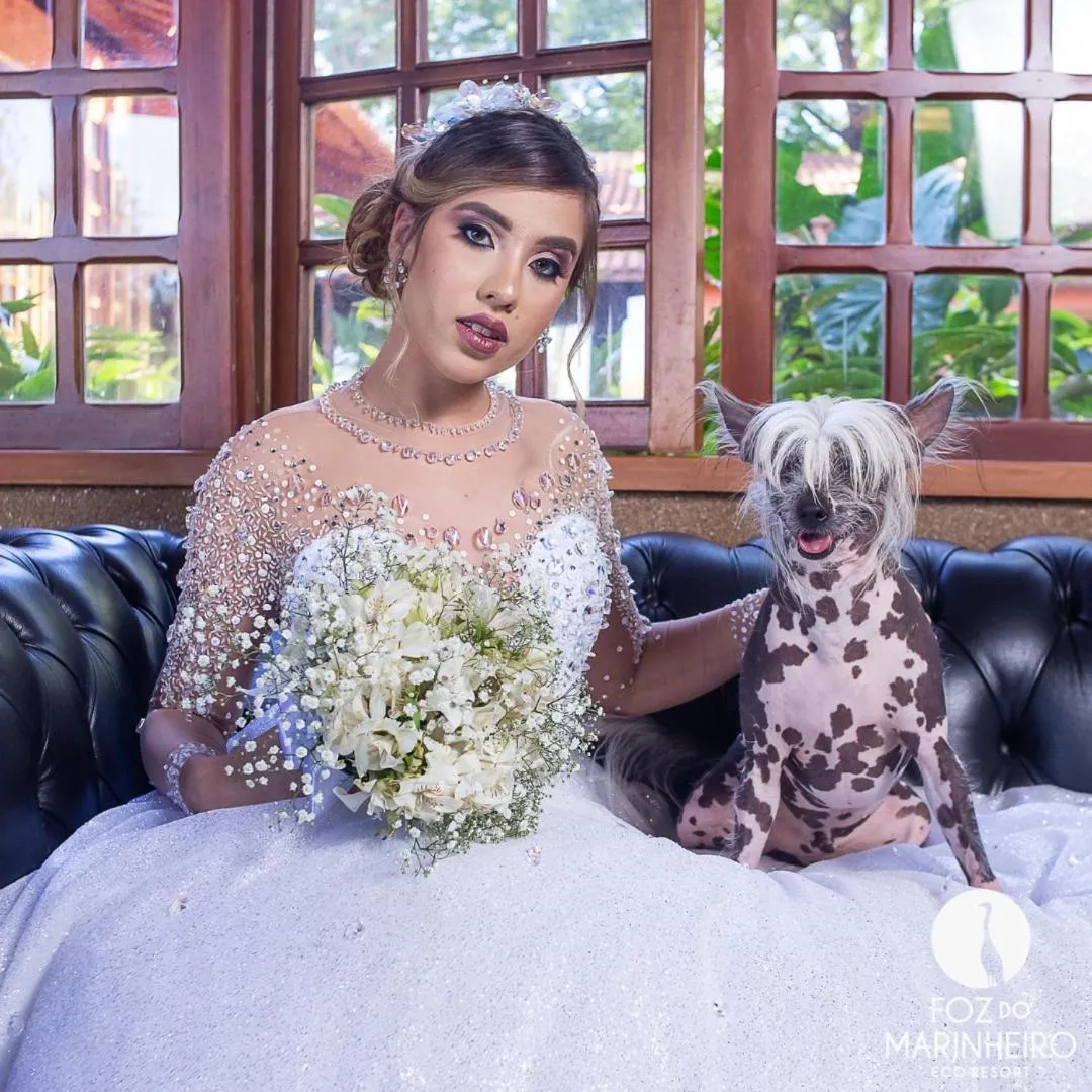 Decorative detail in Eco Resort Foz do Marinheiro