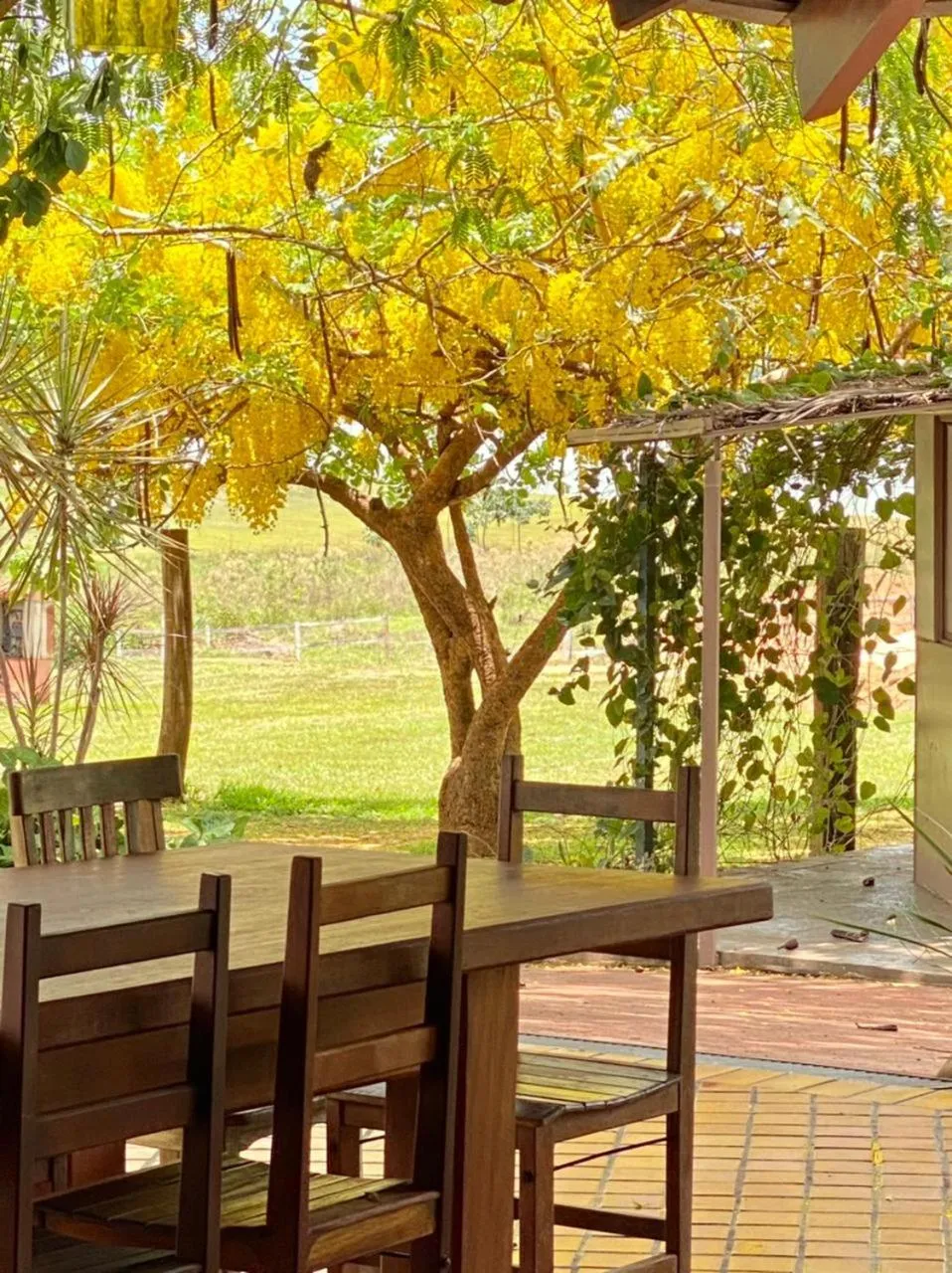 Garden in Eco Resort Foz do Marinheiro