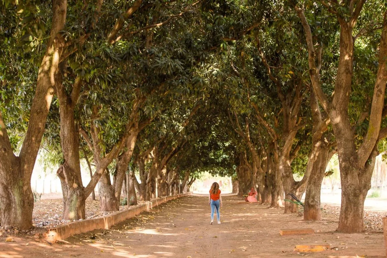 Garden in Eco Resort Foz do Marinheiro
