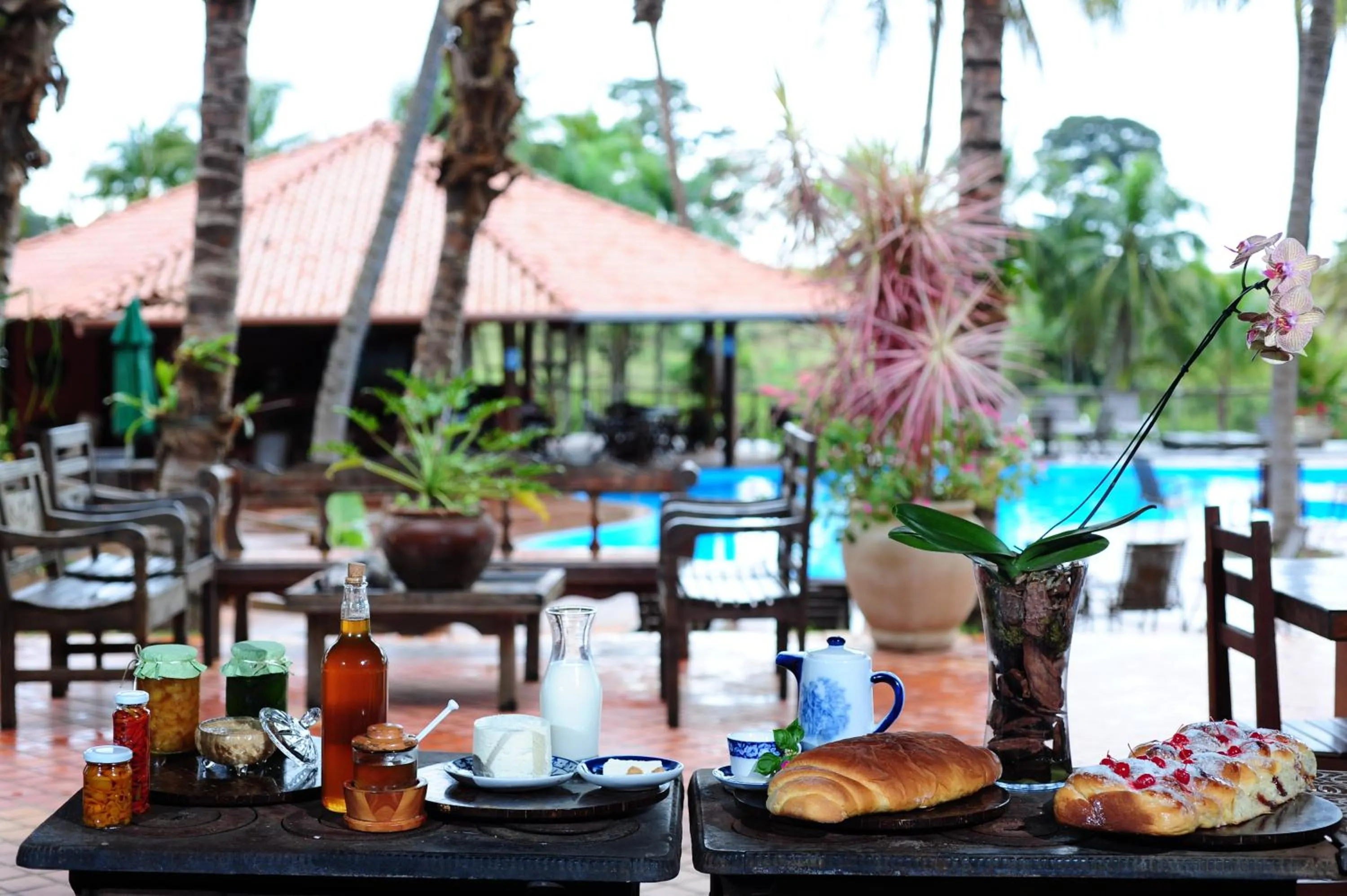 Food and drinks in Eco Resort Foz do Marinheiro