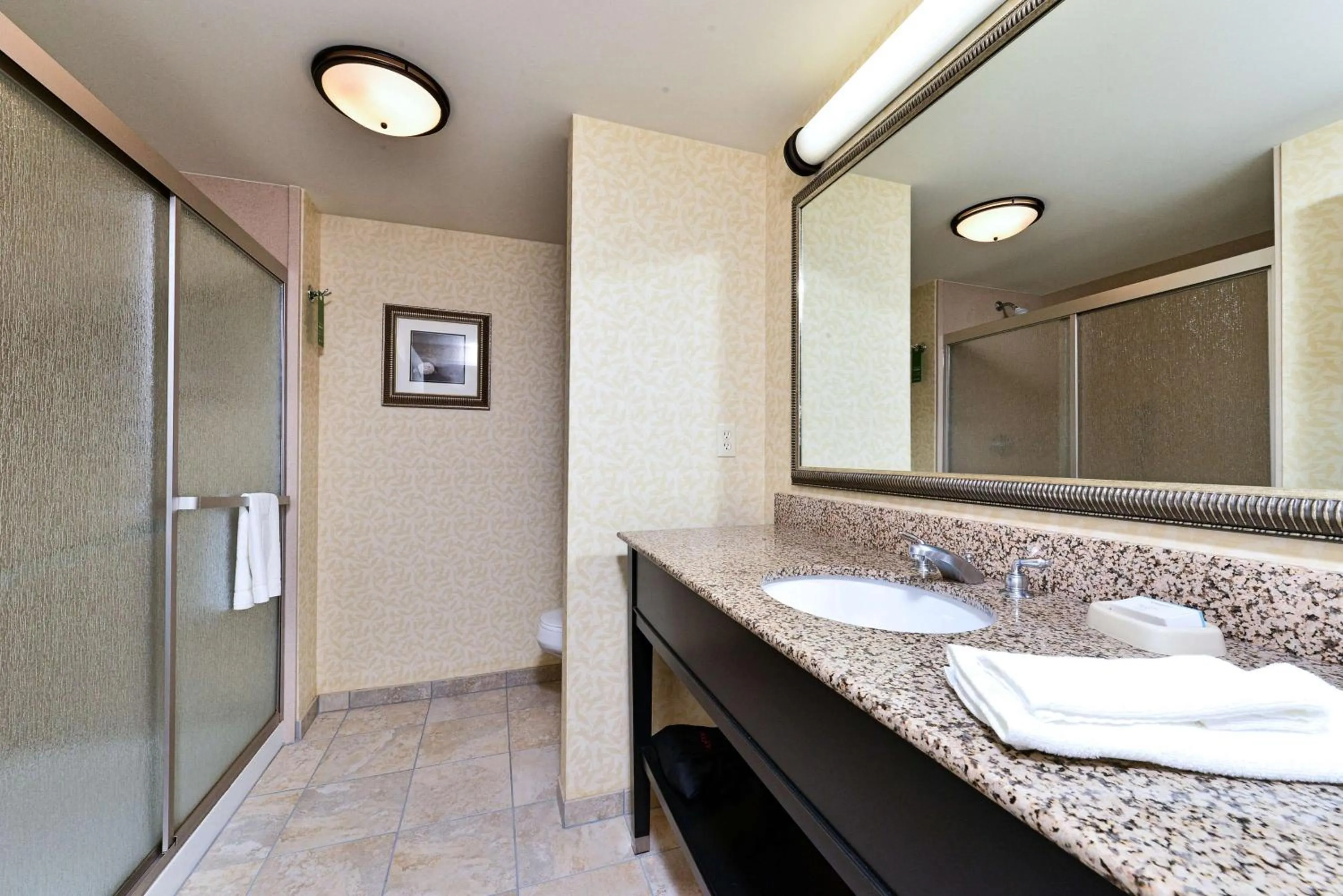 Bathroom in Hampton Inn Ellsworth