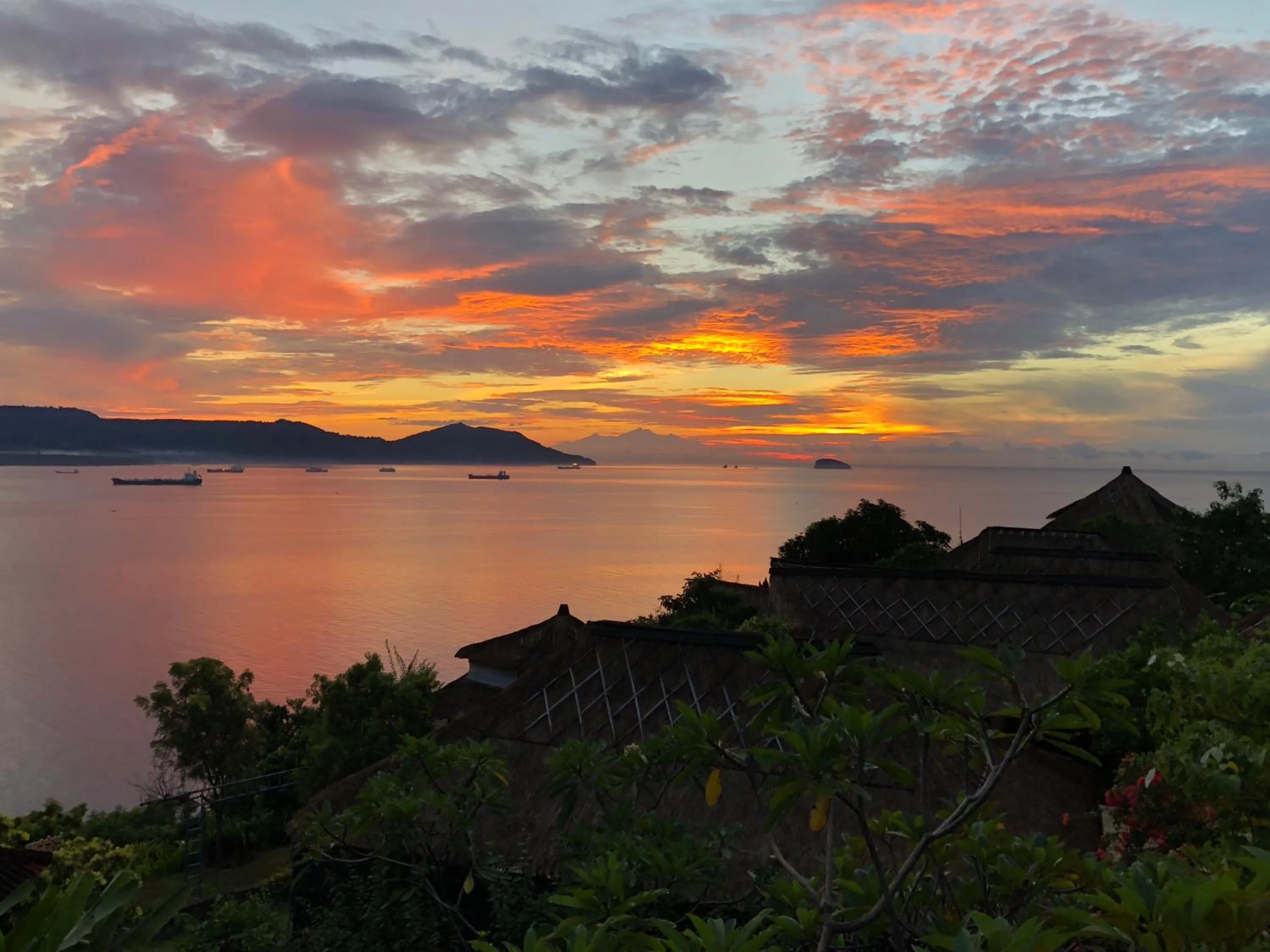 Garden in Bloo Lagoon Village