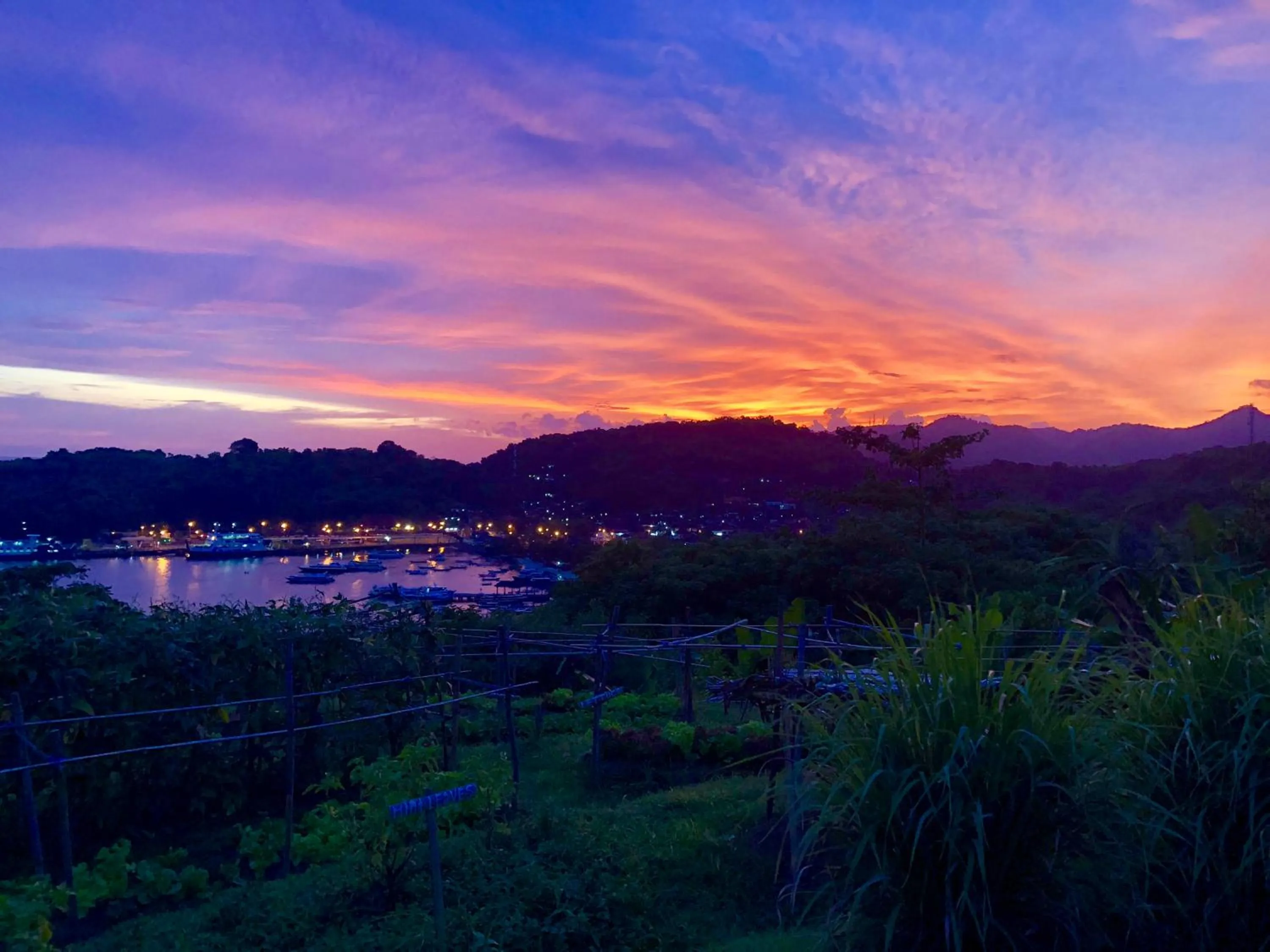 Garden in Bloo Lagoon Village