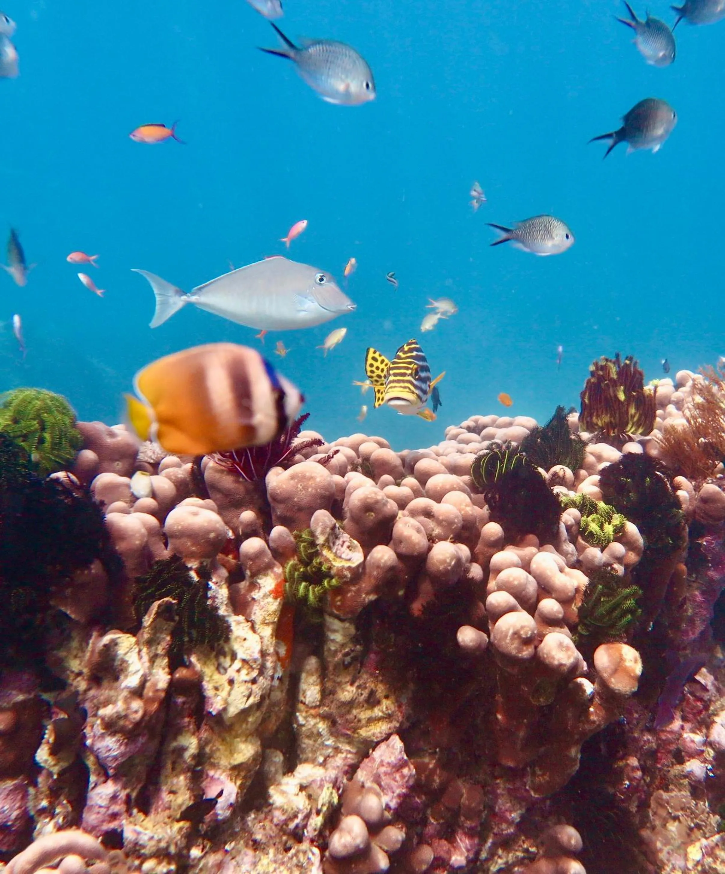 Activities in Bloo Lagoon Village