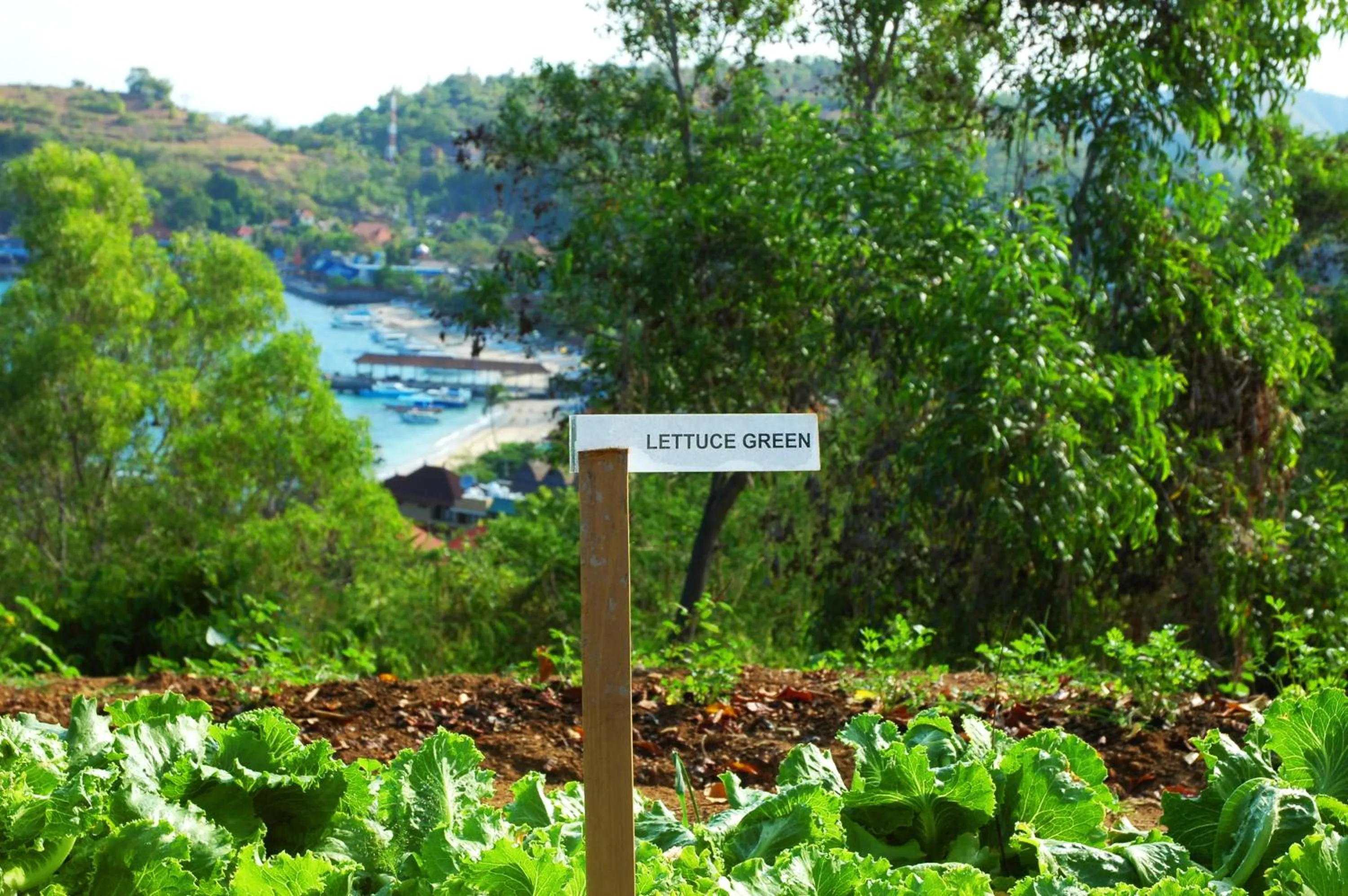 View (from property/room) in Bloo Lagoon Village