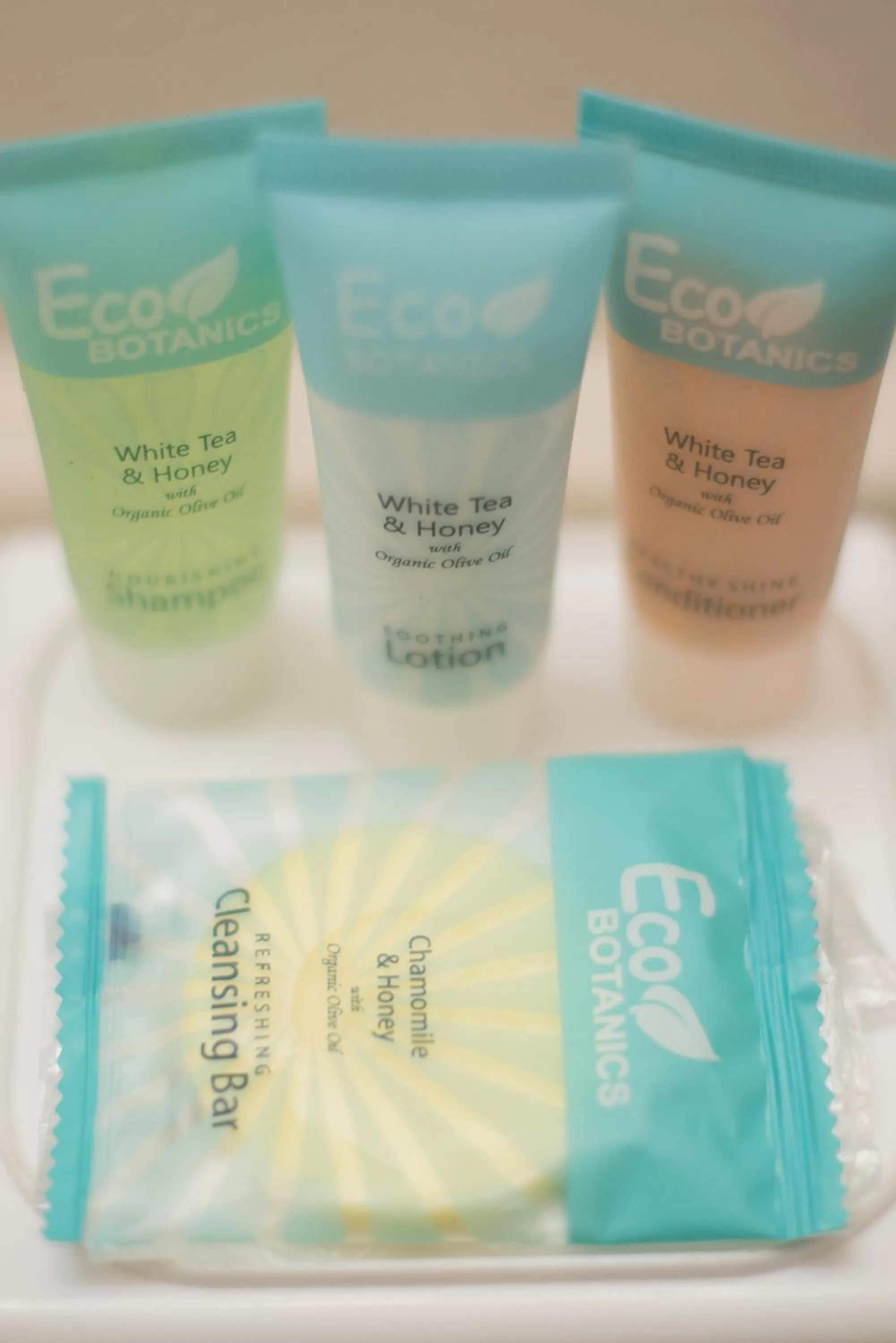 Bathroom in Motel 8 Rock Springs