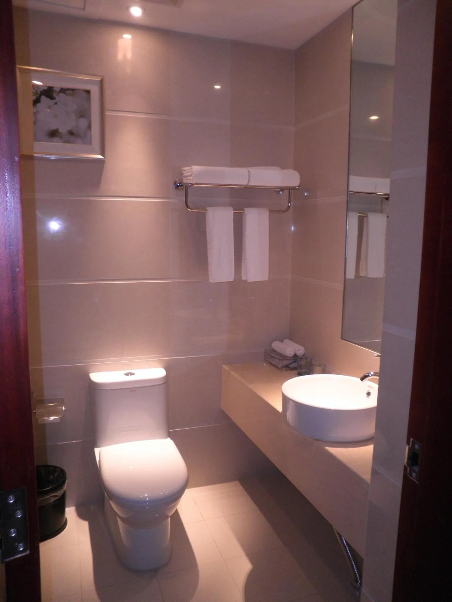 Toilet in Sentosa Hotel Shenzhen Majialong Branch