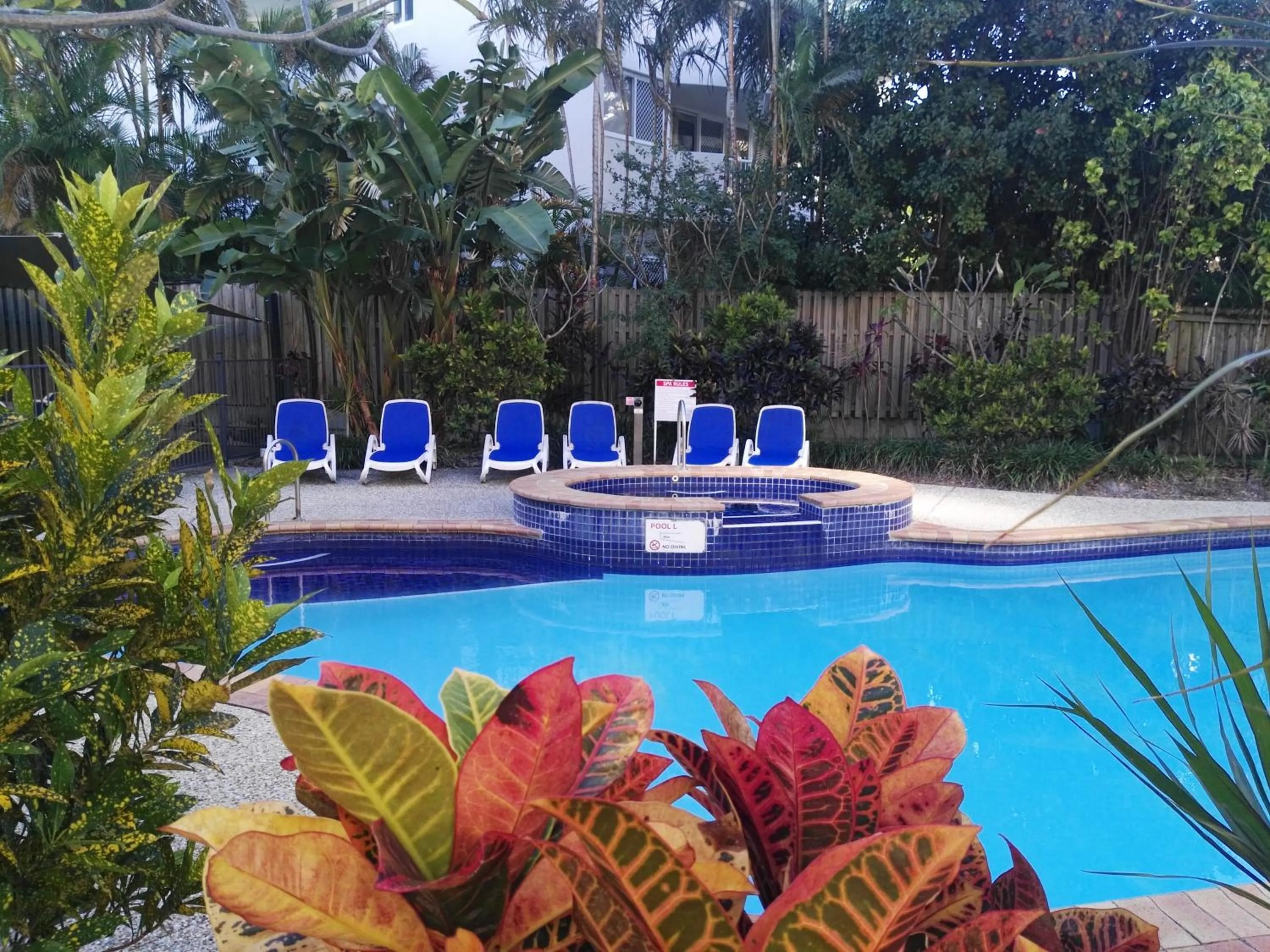Swimming pool in Surfers Beach Holiday Apartments